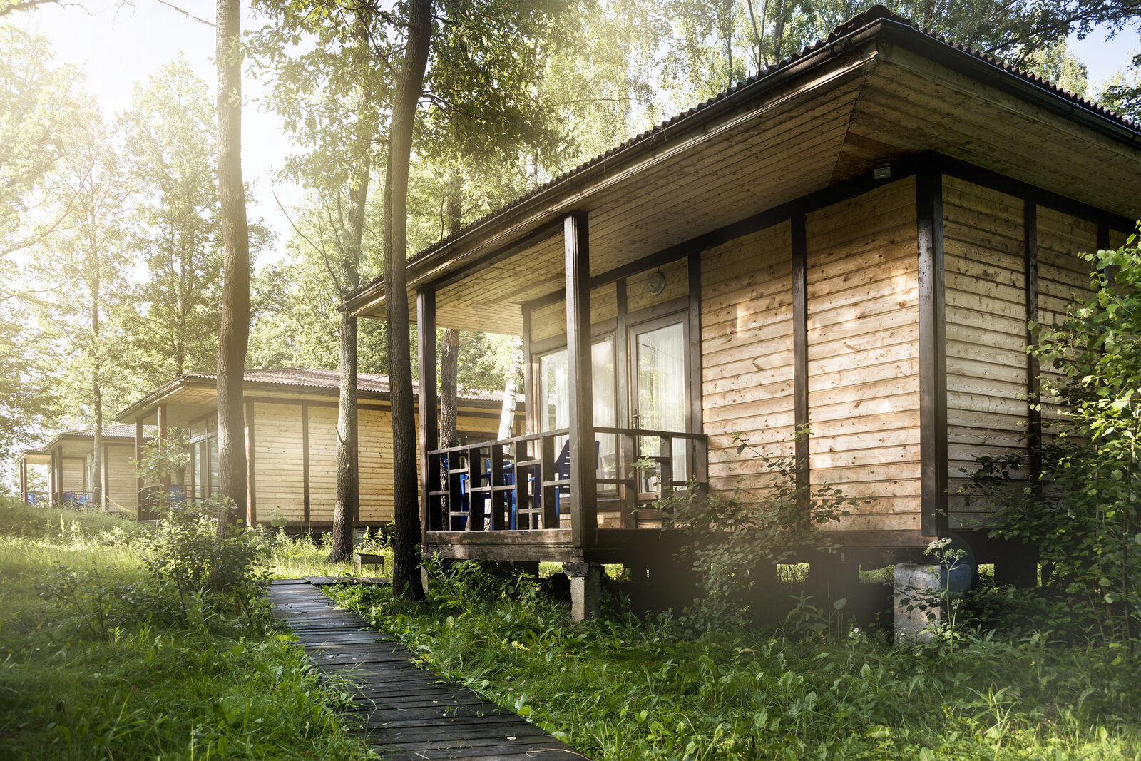 Фото Фореста Фестиваль Парк