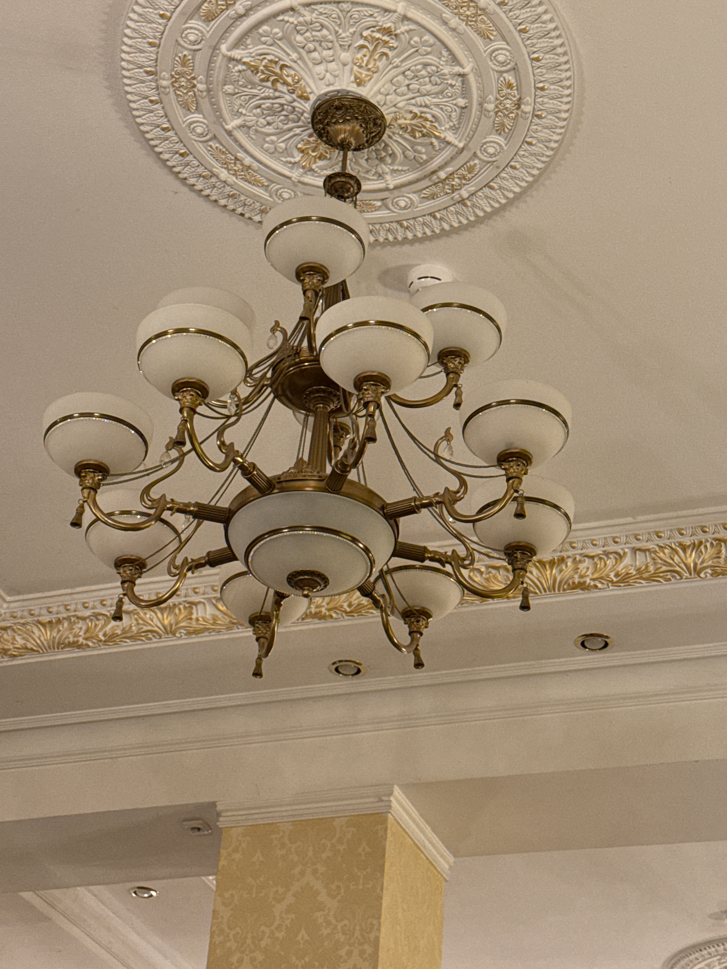 Фото Магнолия