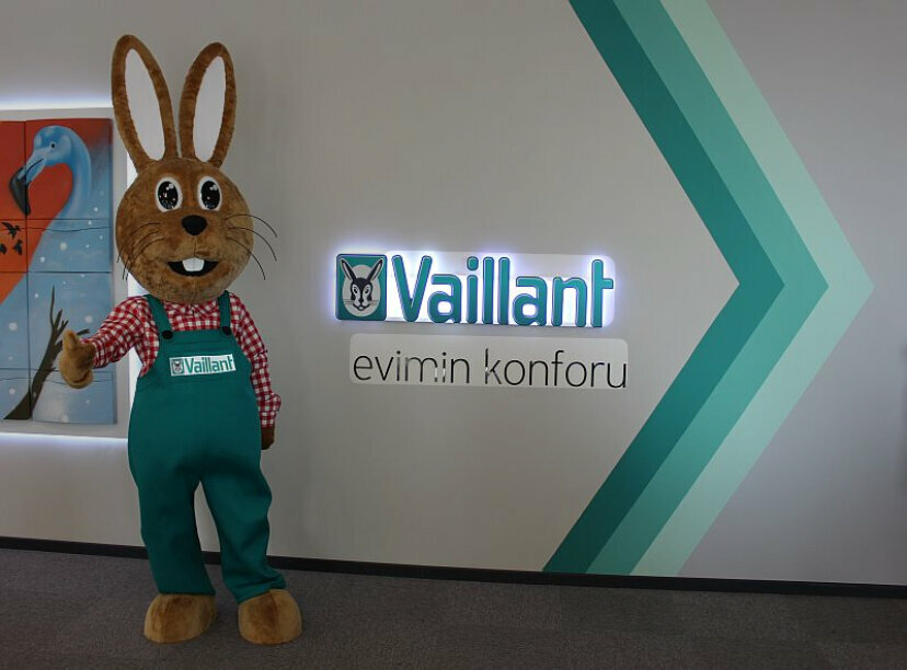 Heating equipment and systems Vaillant Technical Service, Ankara, photo