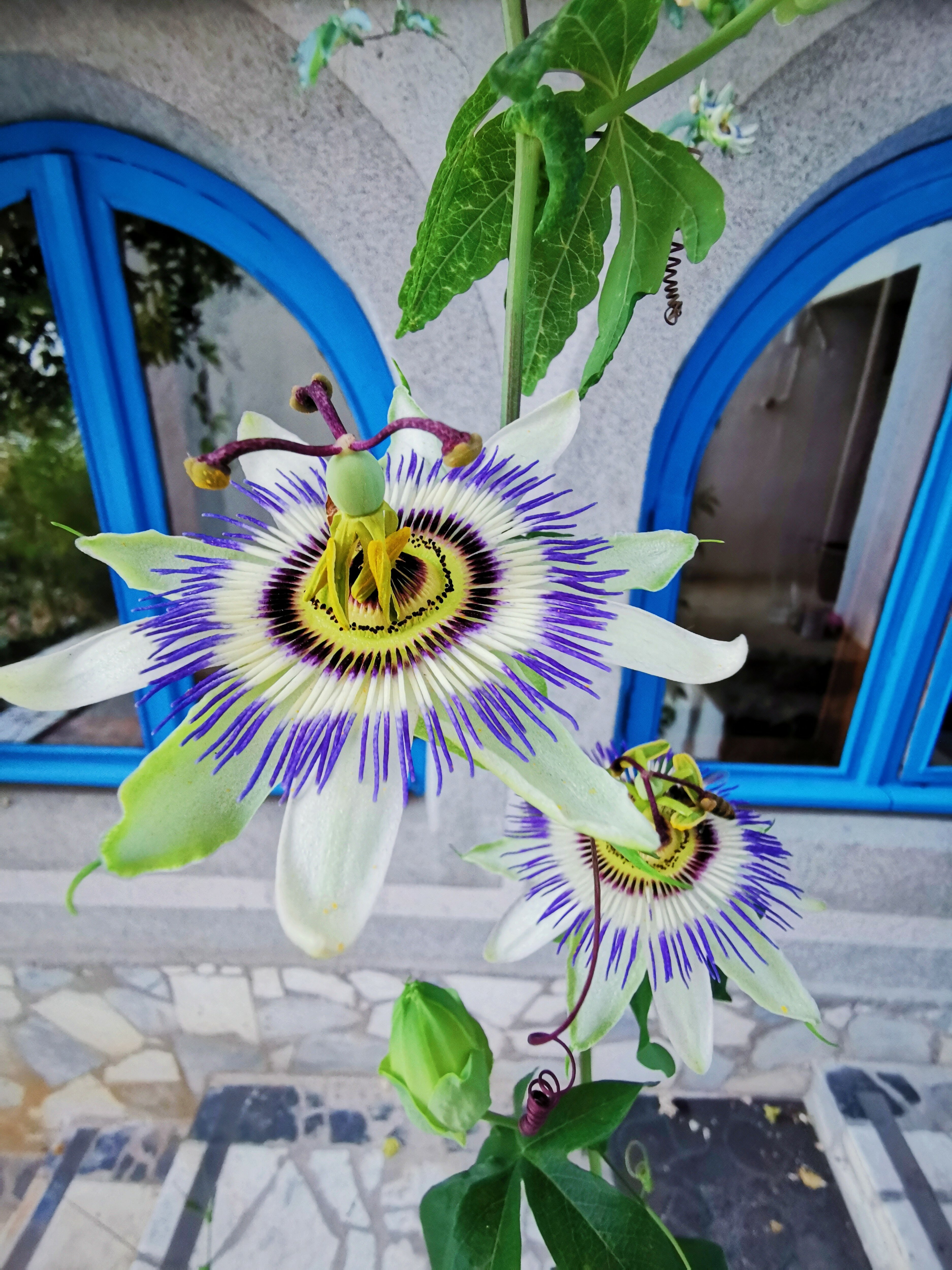 Фото Ялта вояж