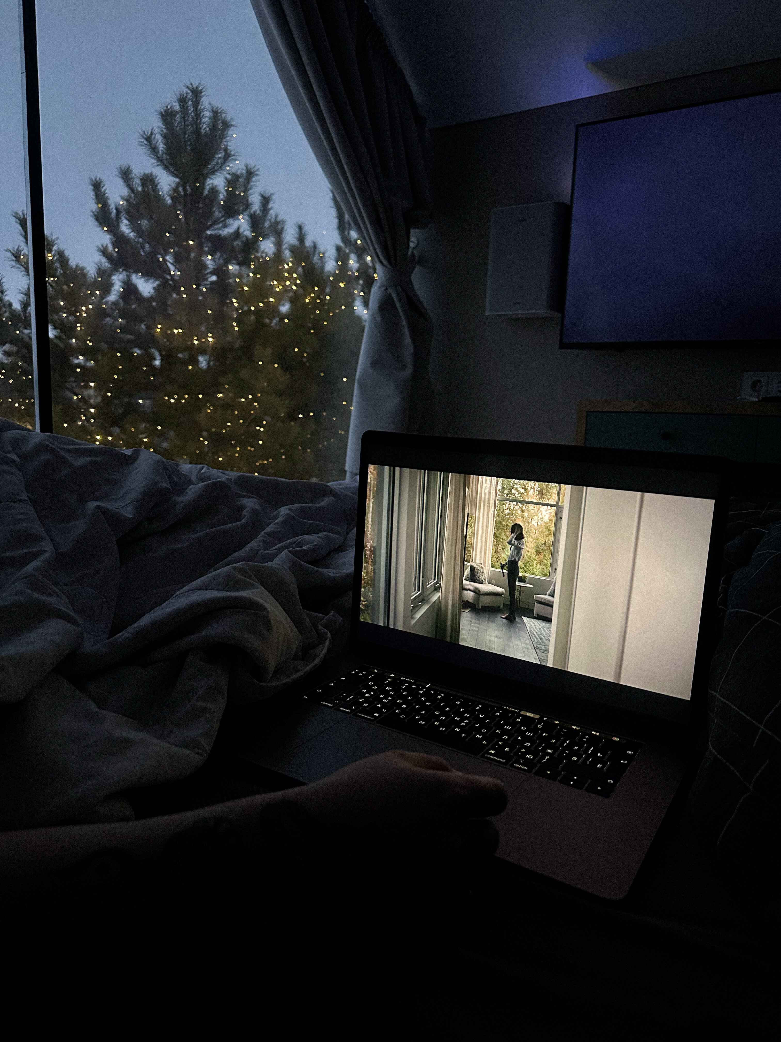 Фото Золотая Рыбка