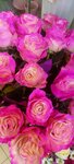 Цветы (Yuzhniy Microdistrict, Tsentralnaya ulitsa, 8), flower shop