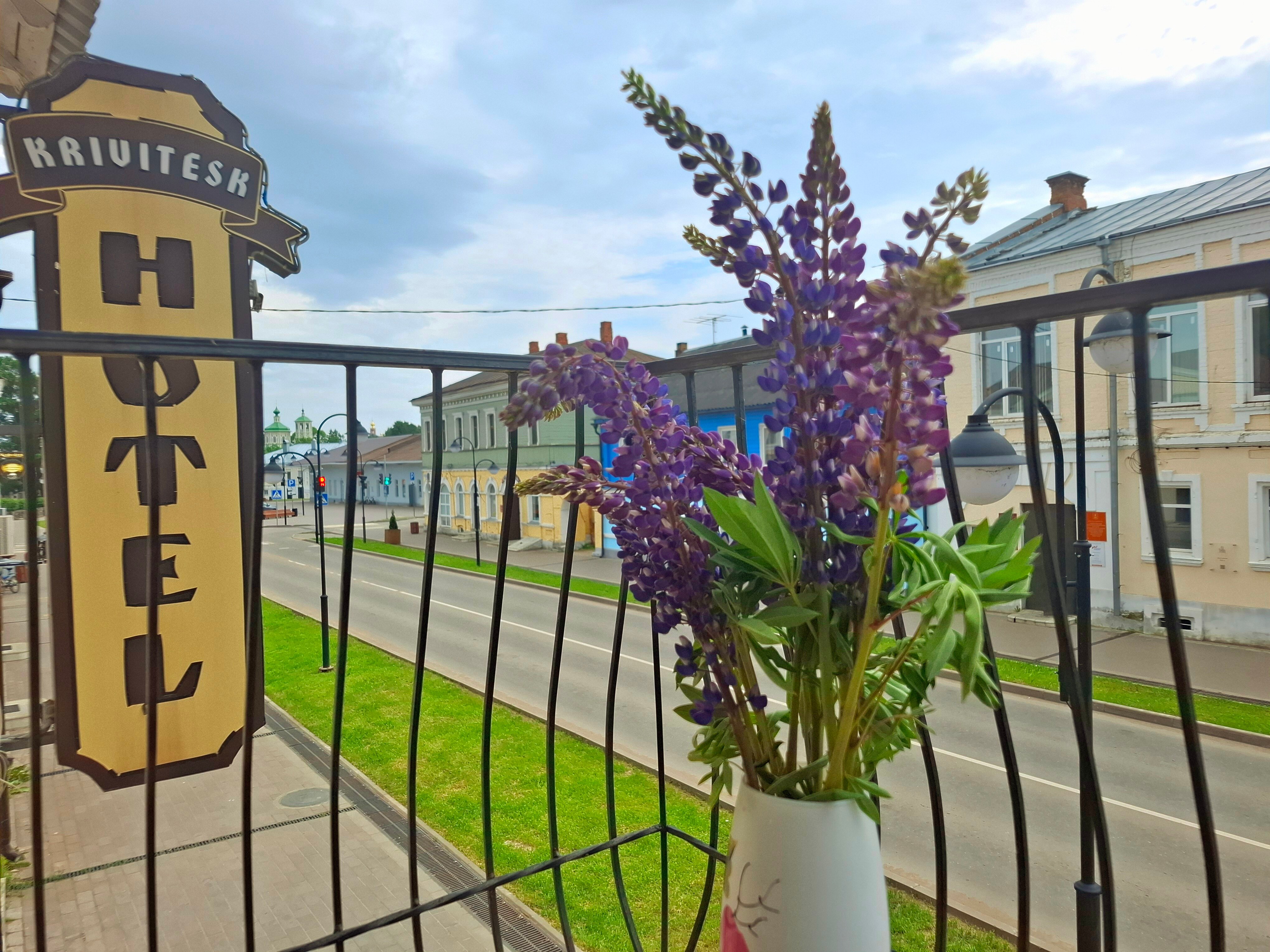 Фото Кривитеск