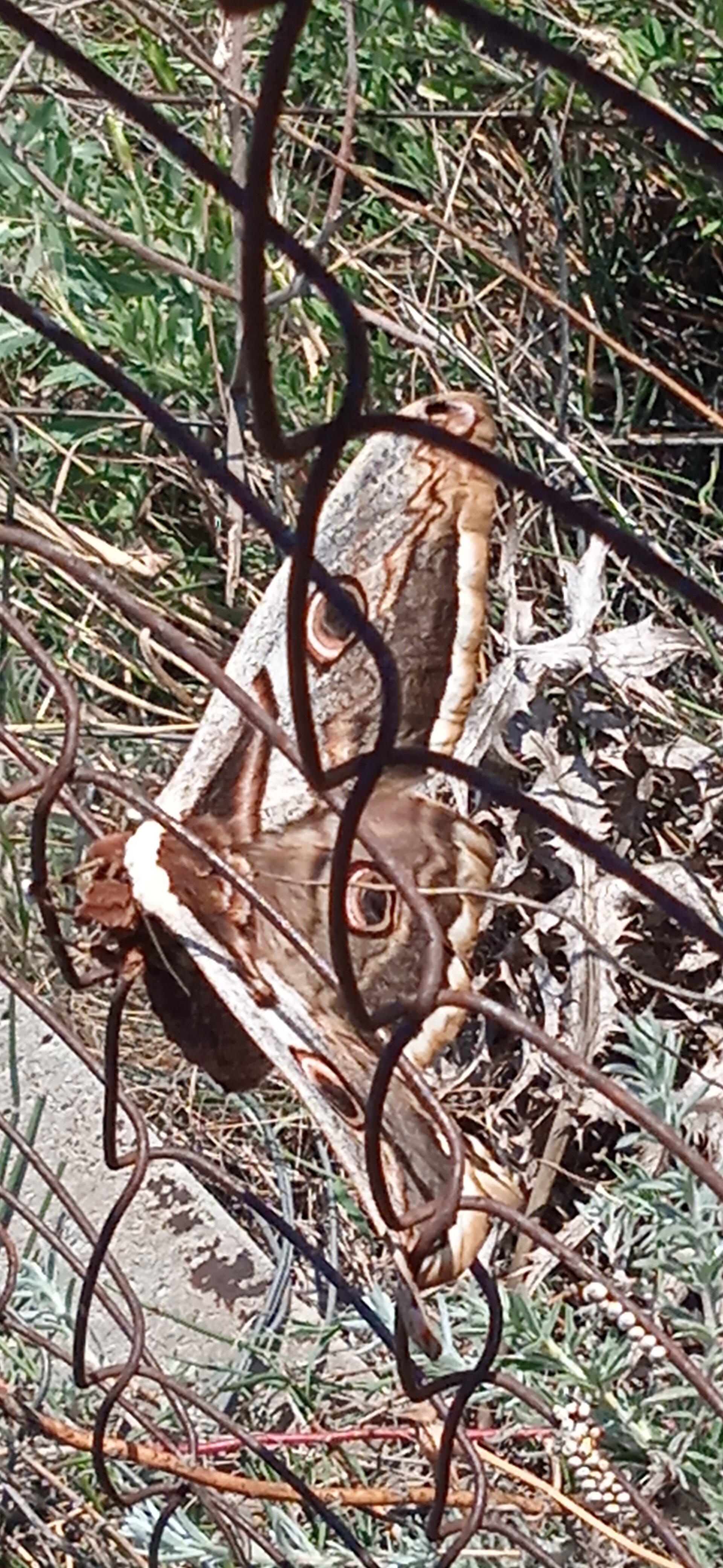Фото Любимое место