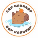 Bar Capybar (Stremyannaya Street, 16), anti-café