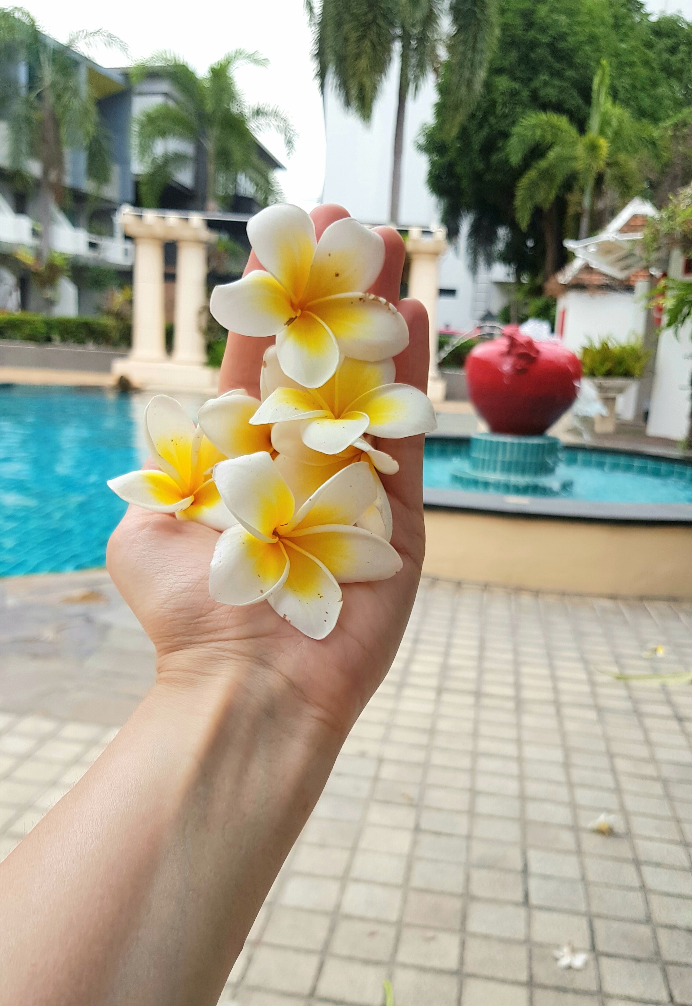 Фото Lantana Pattaya Hotel & Resort