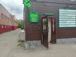 Бюджетная (Geroev Rybachyego Street, 40Б), farmacia