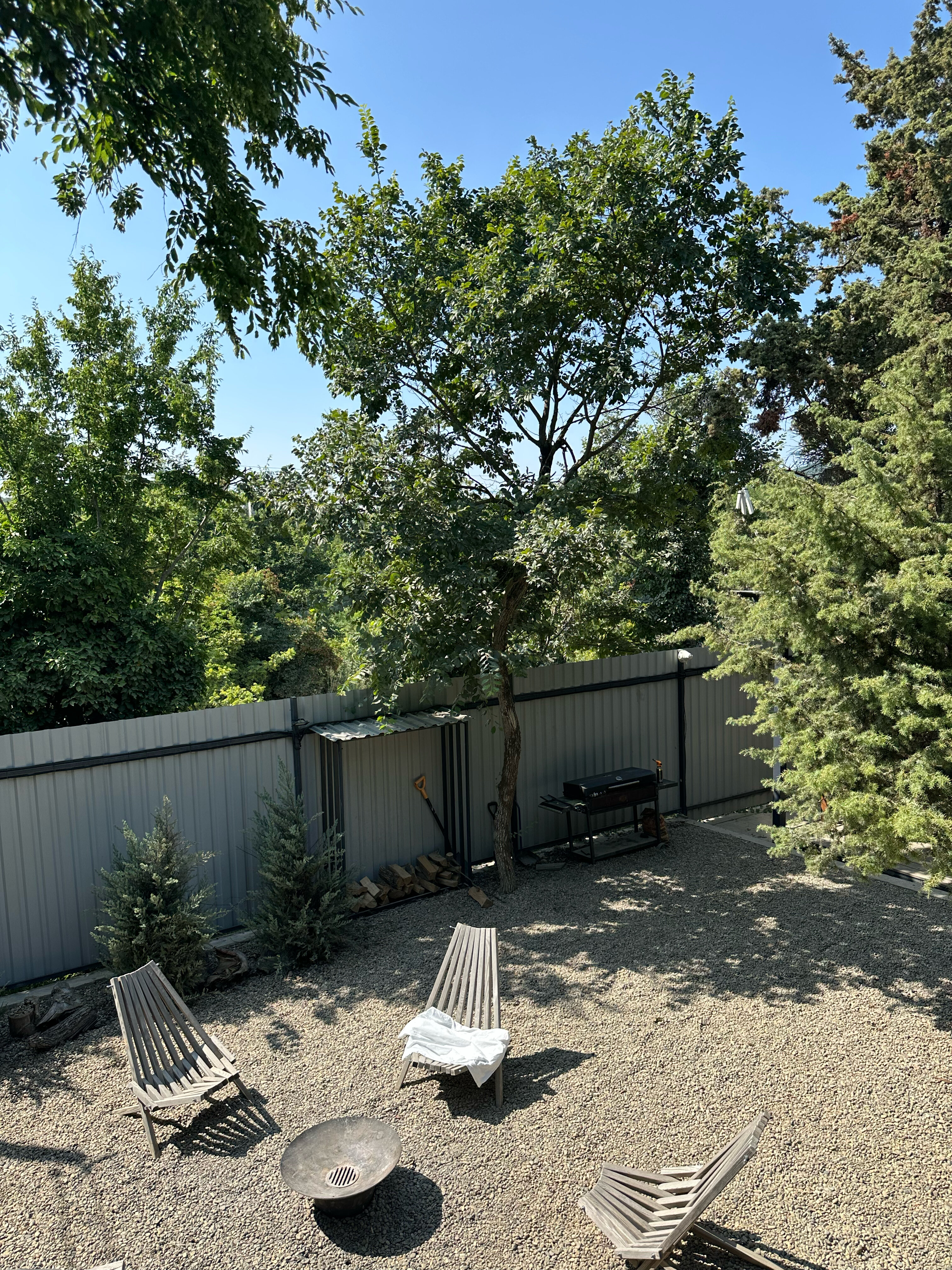 Фото Можжевеловое место