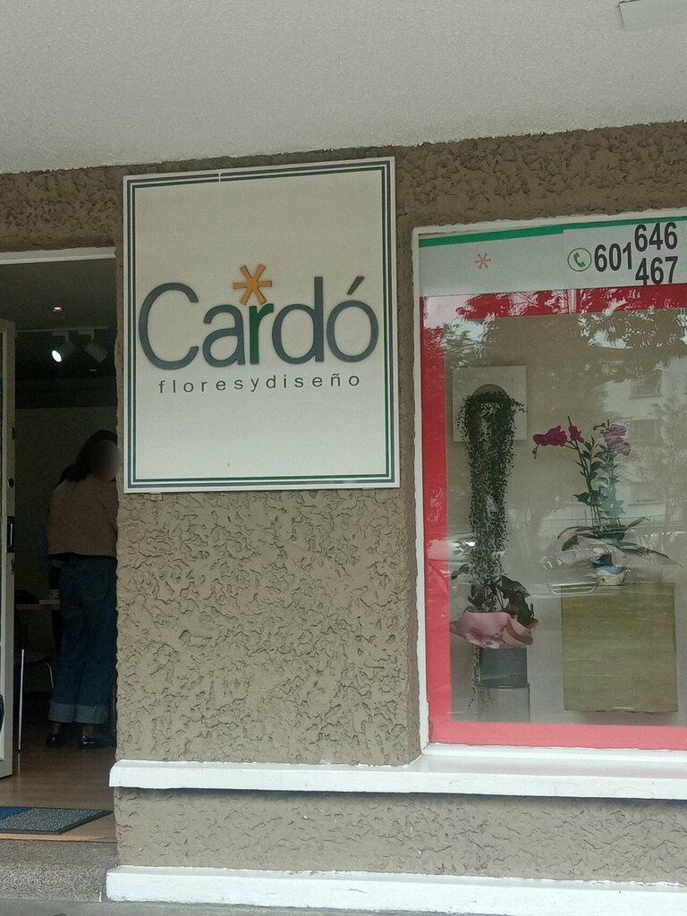 Flower shop Floristería Cardo, Bogota, photo