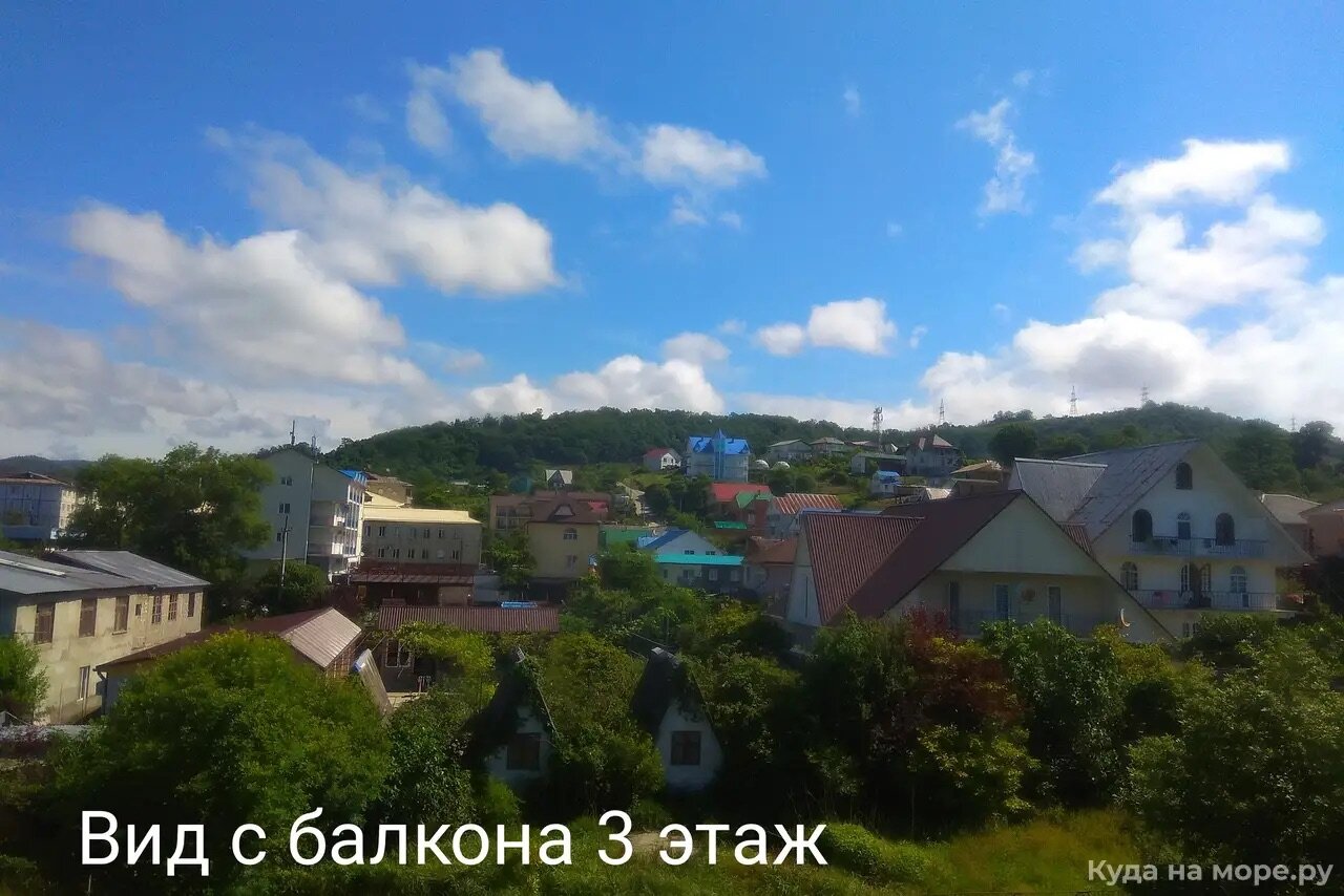 Фото Кипарис