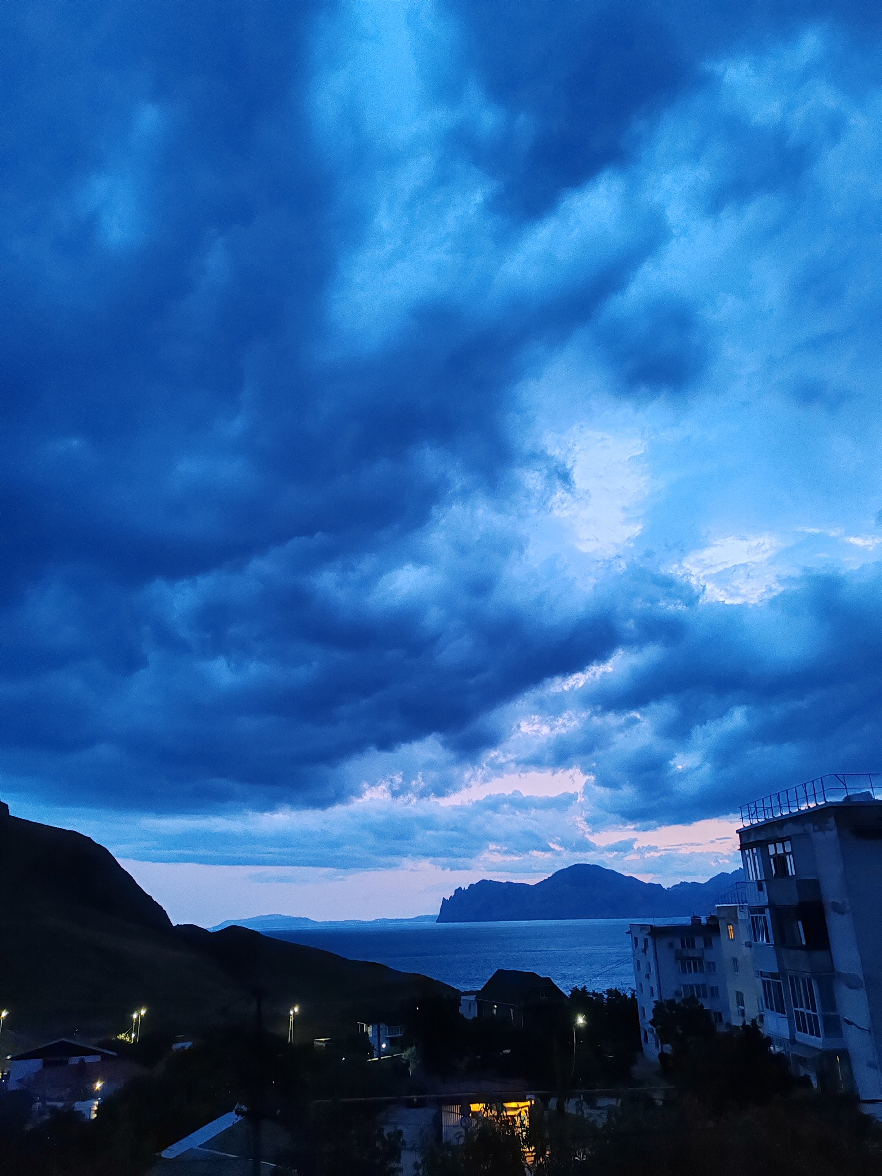 Фото Белый лебедь