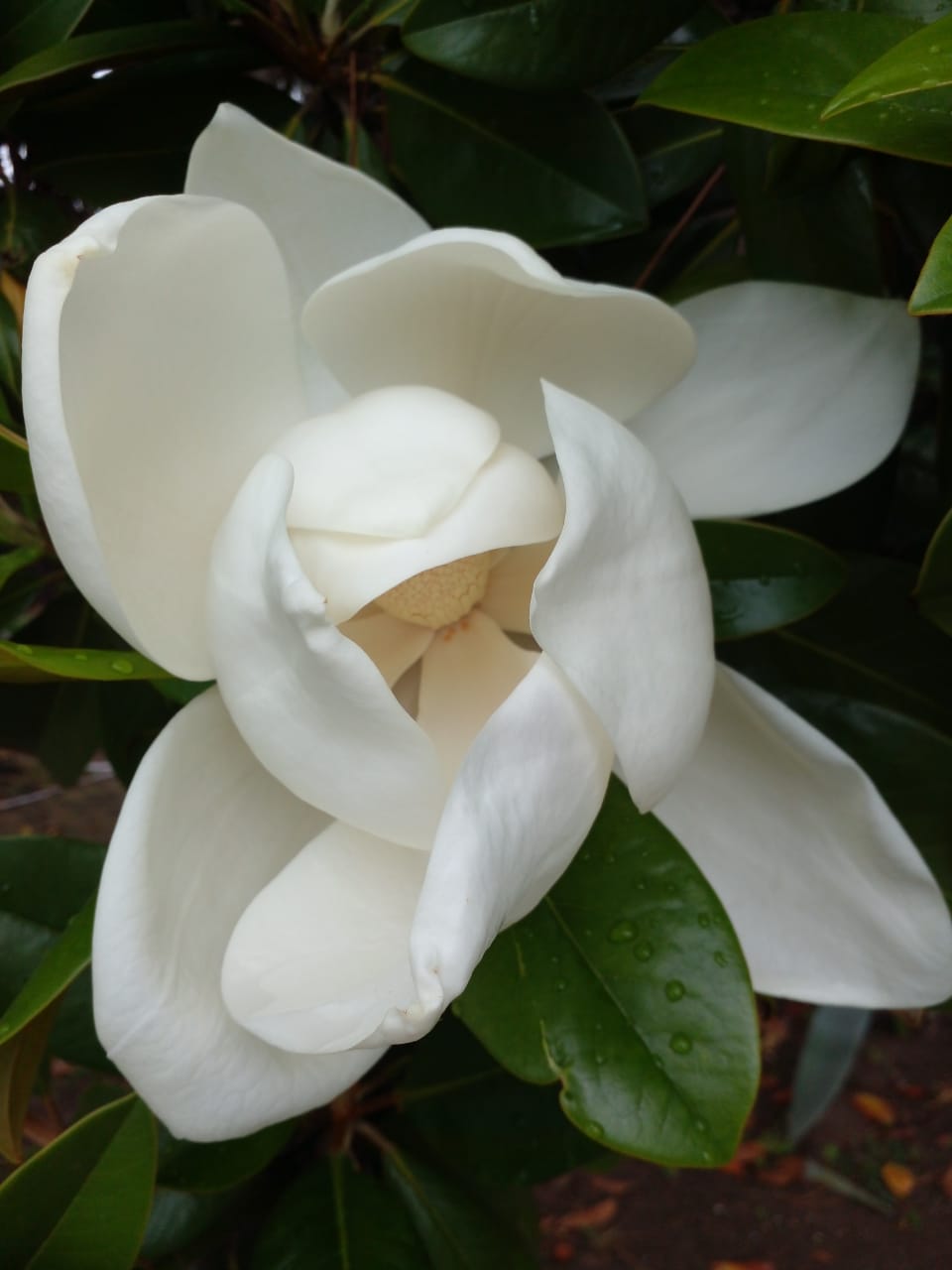 Фото Онтарио