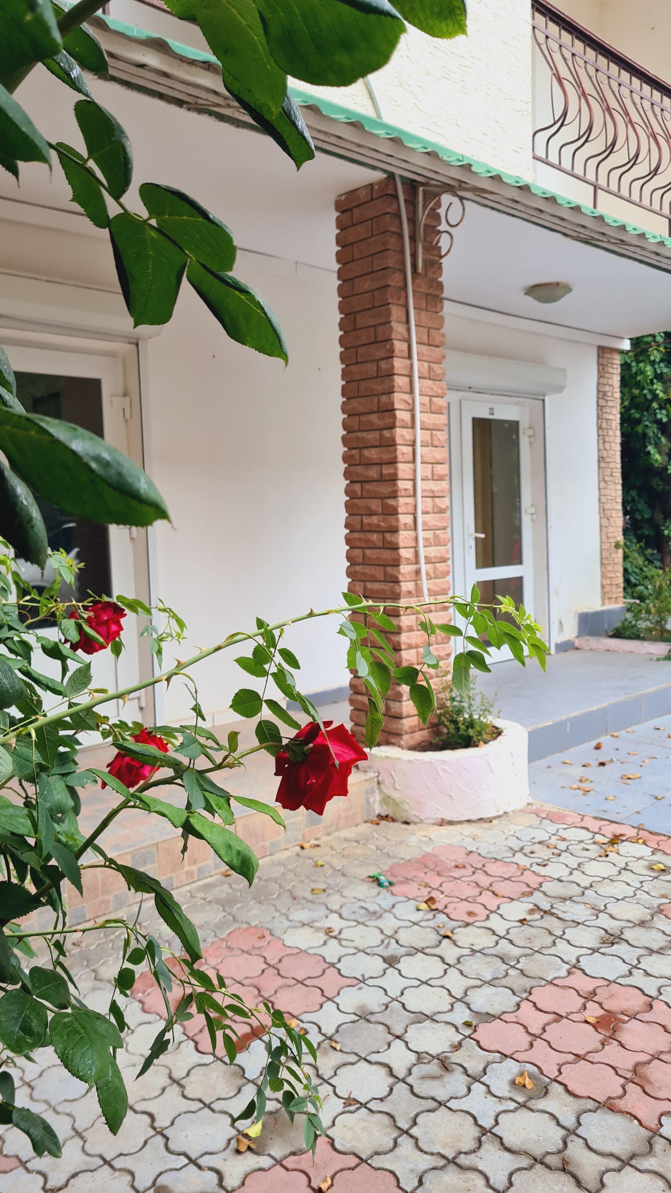 Фото Первая Линия