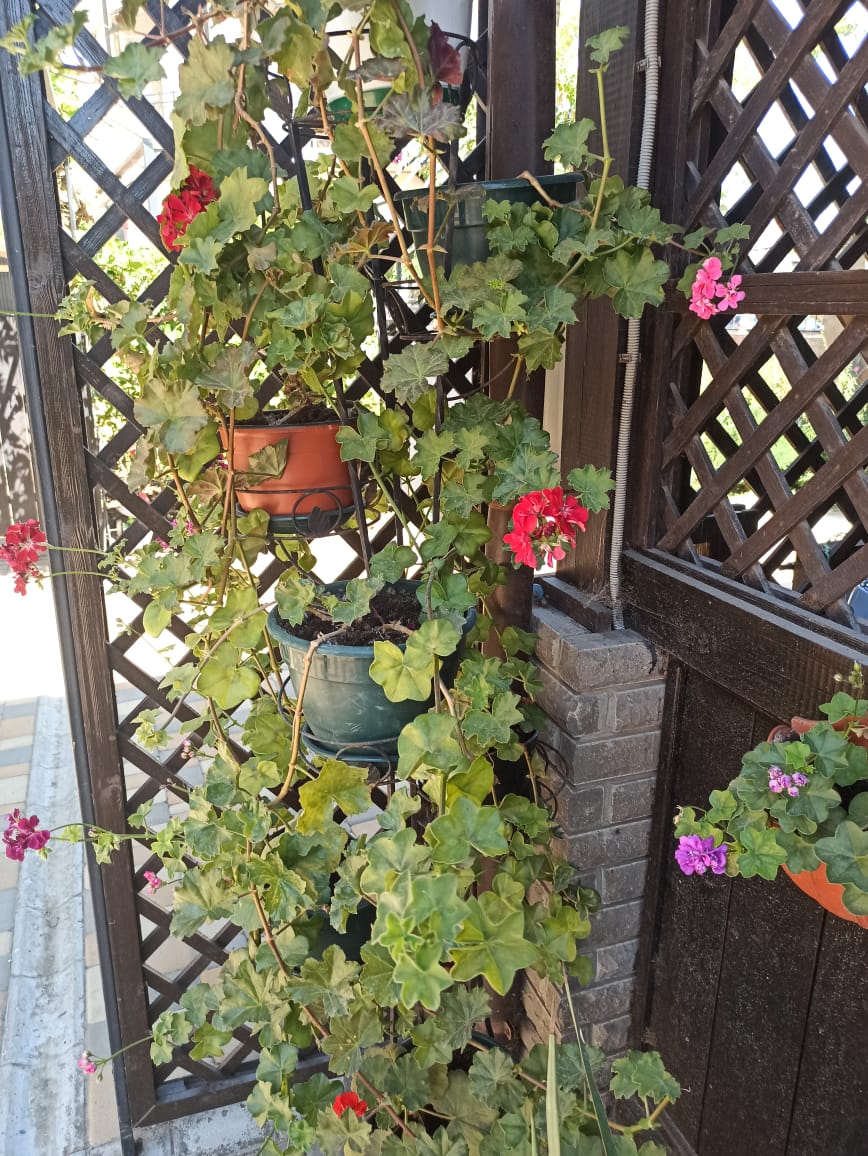 Фото Арсенал