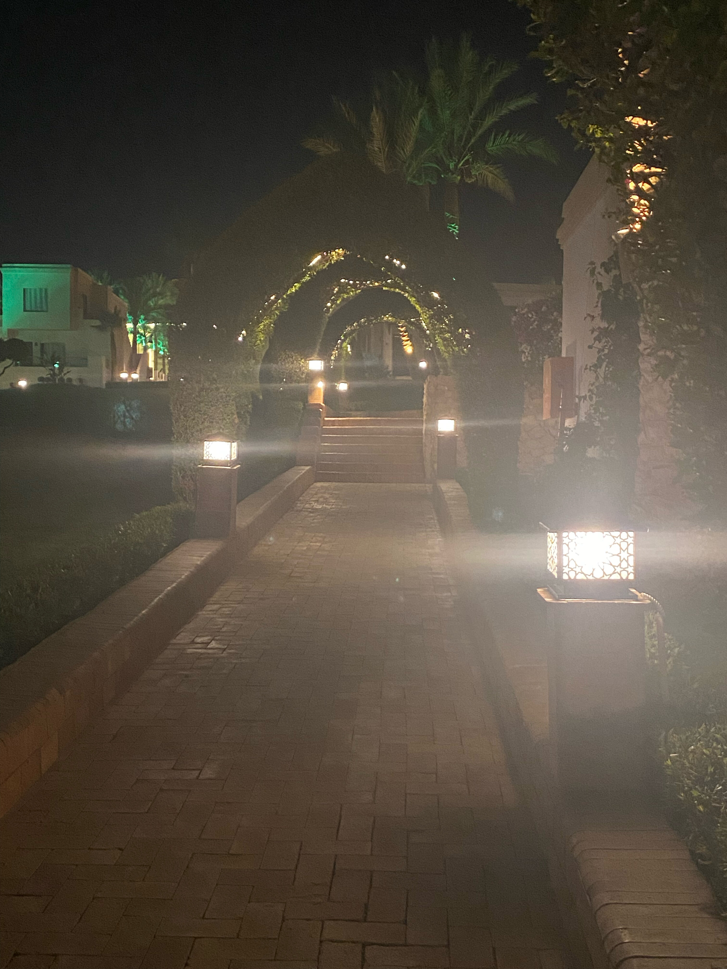 Фото Club Reef Resort