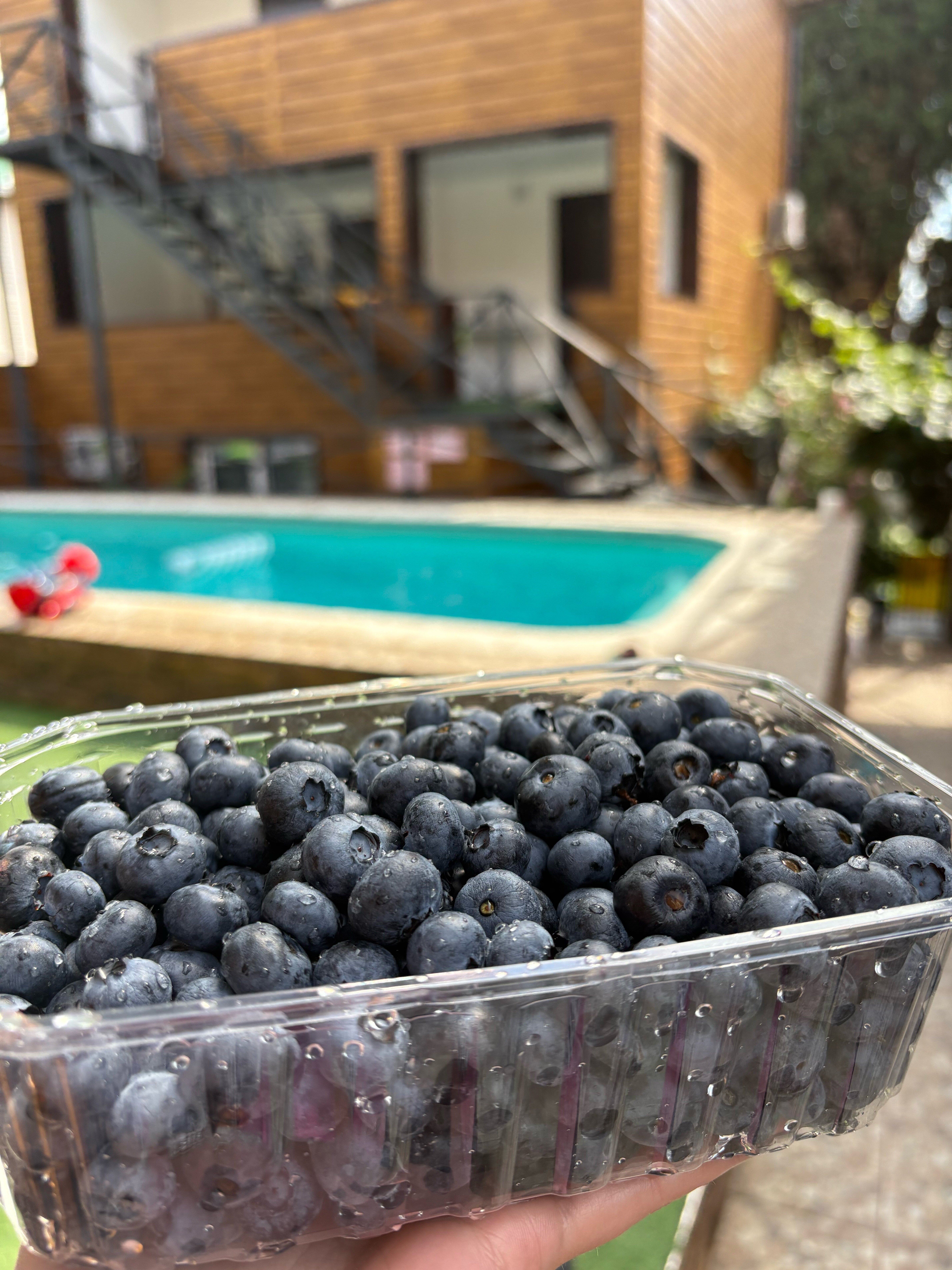 Фото Апельсин