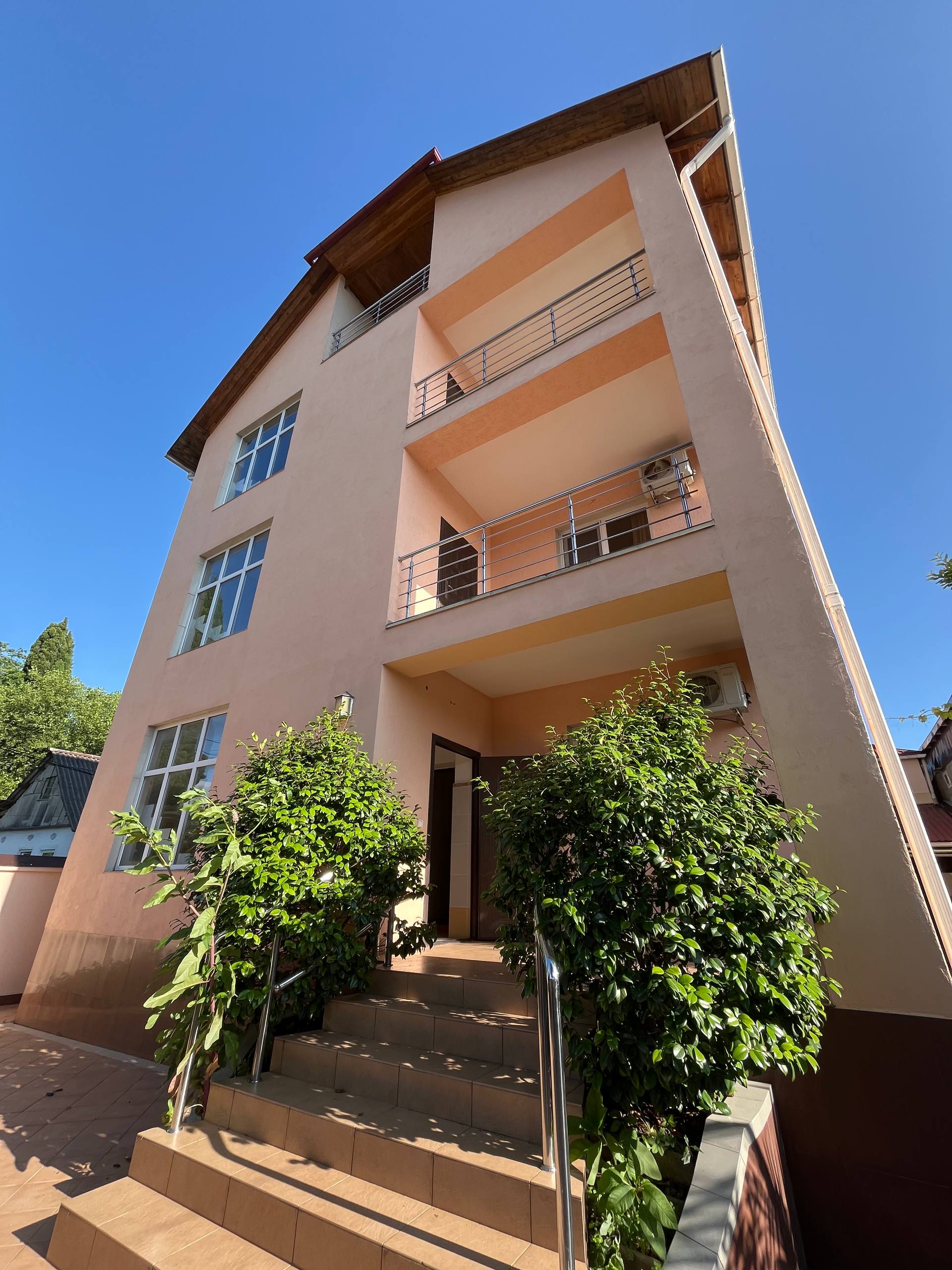 Фото Мандарин