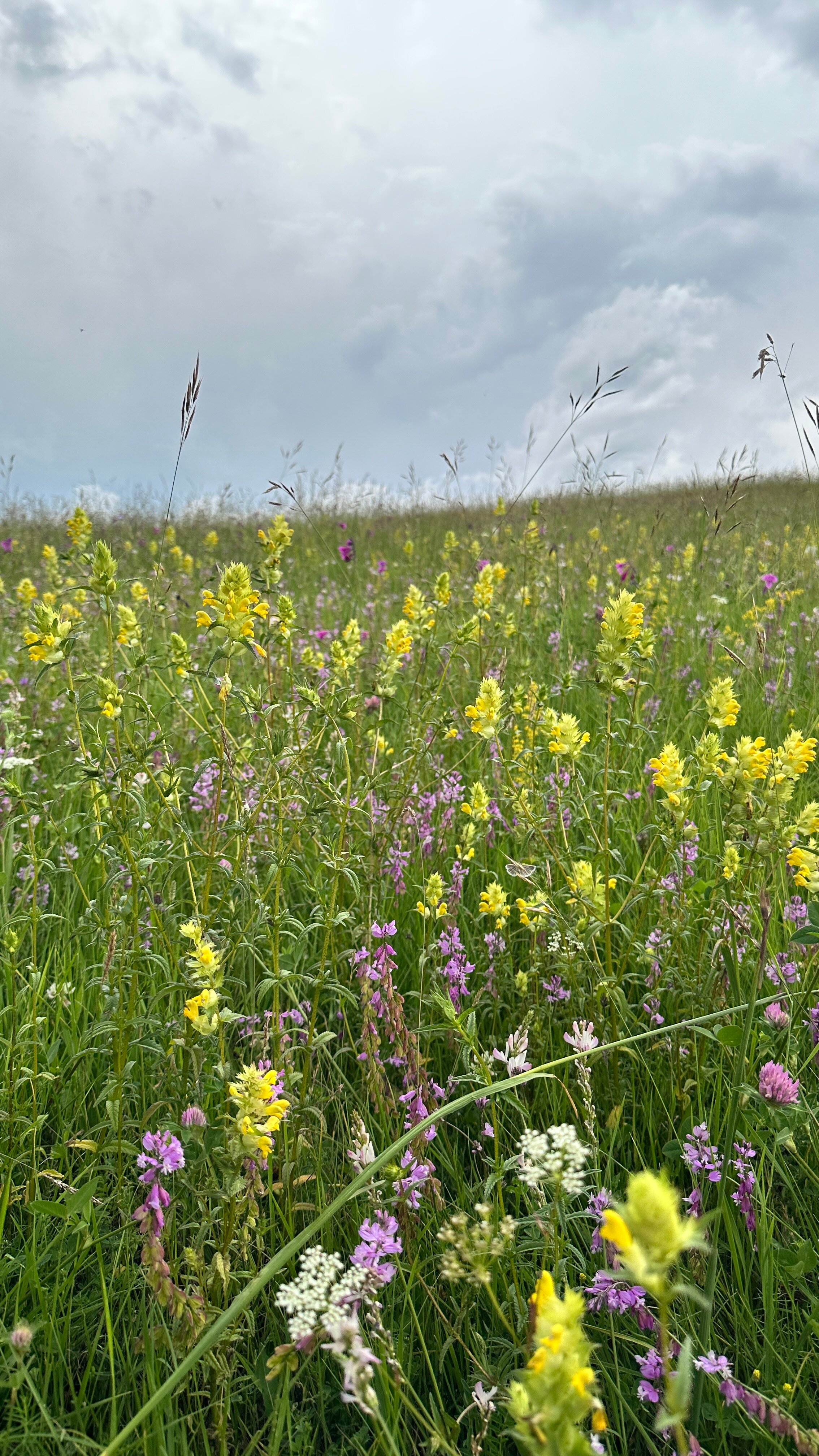 Фото Дом у Хатимы