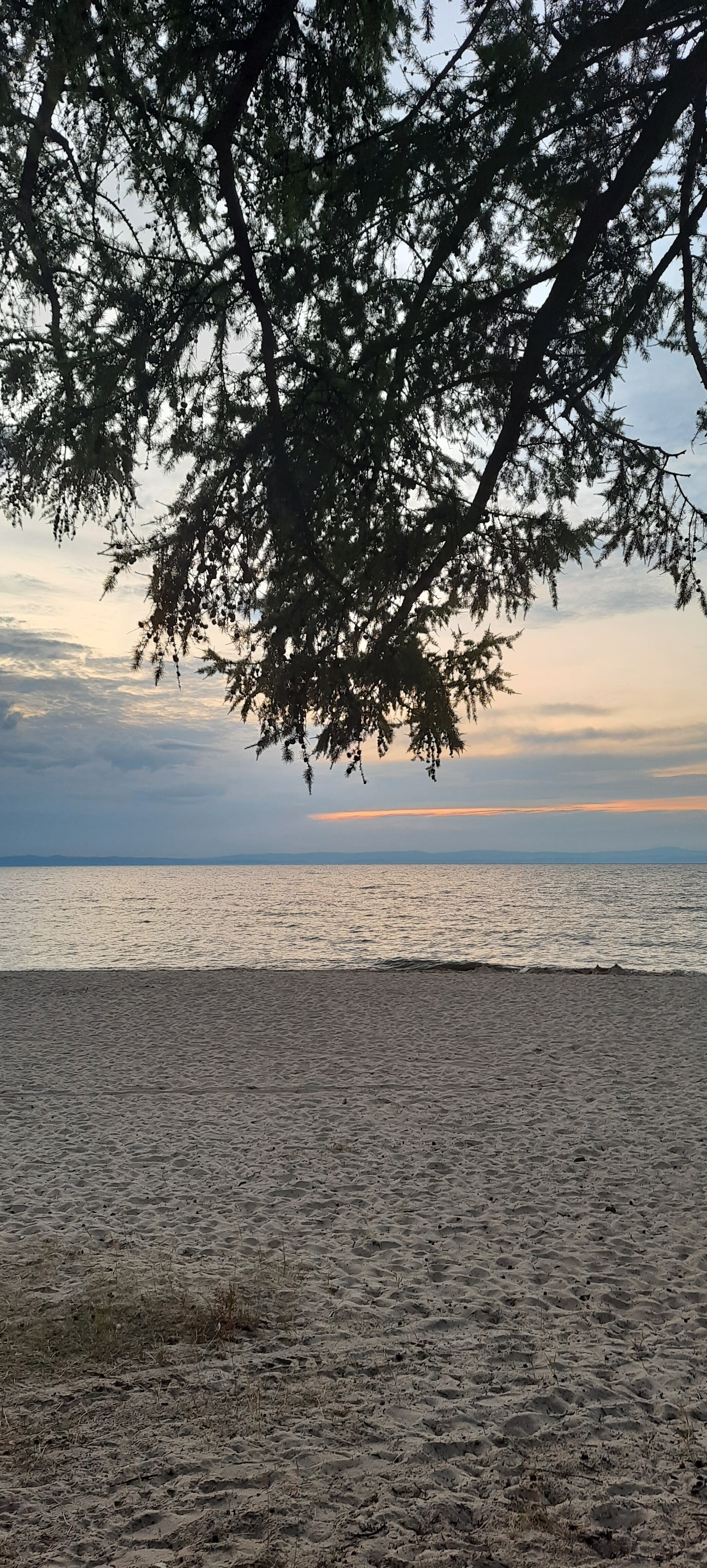 Фото Байкальская солянка