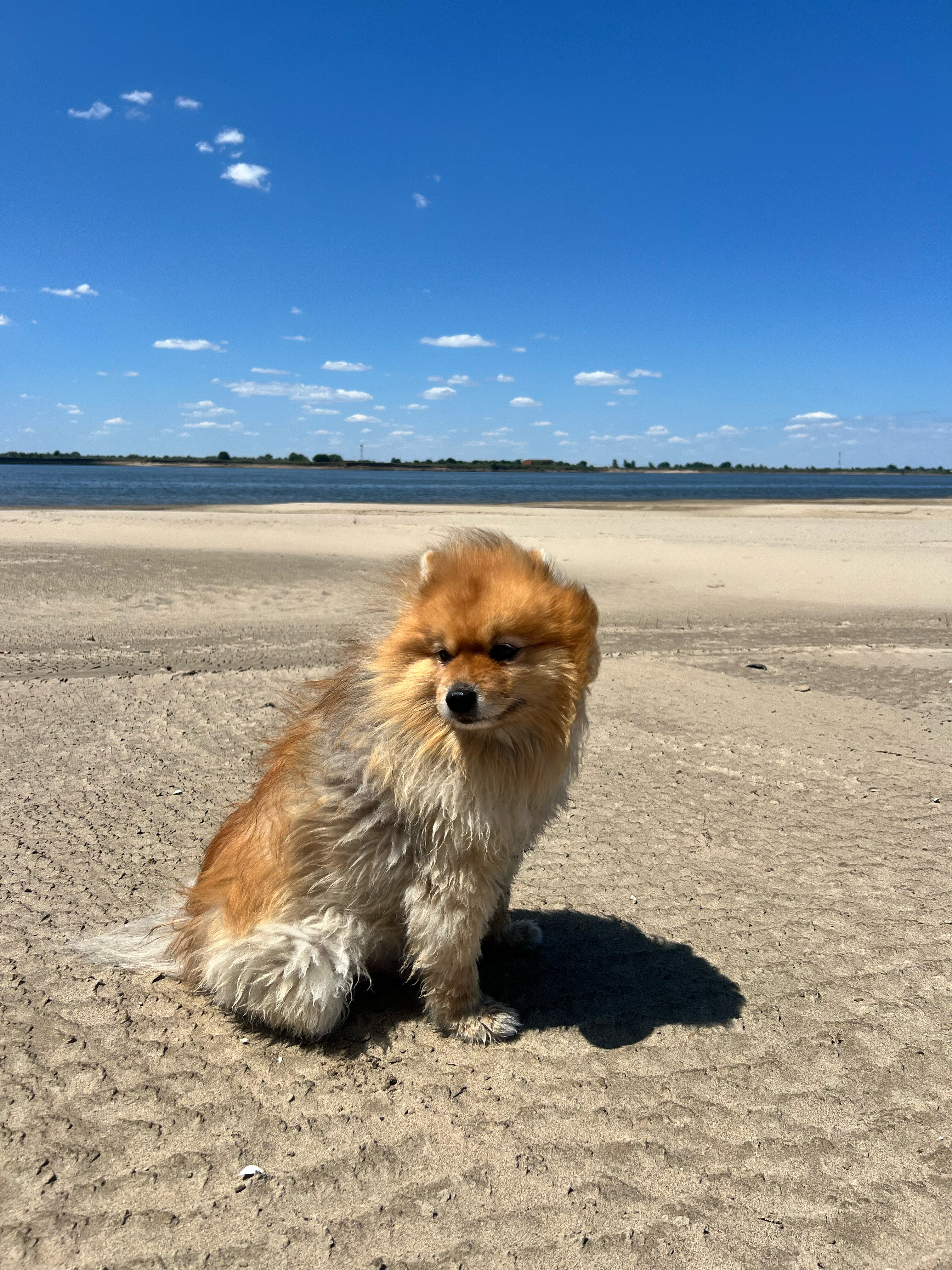 Фото Высокий берег