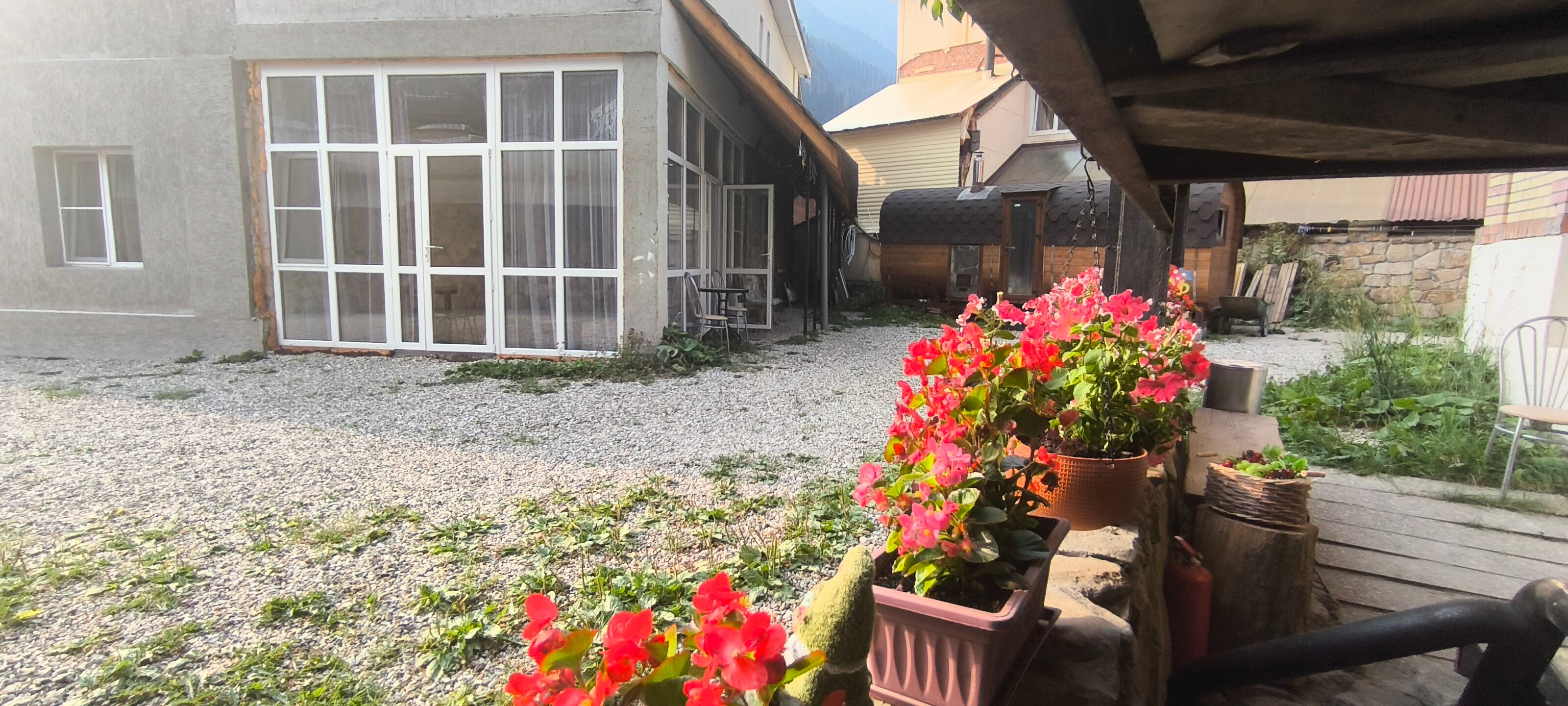 Фото Феникс