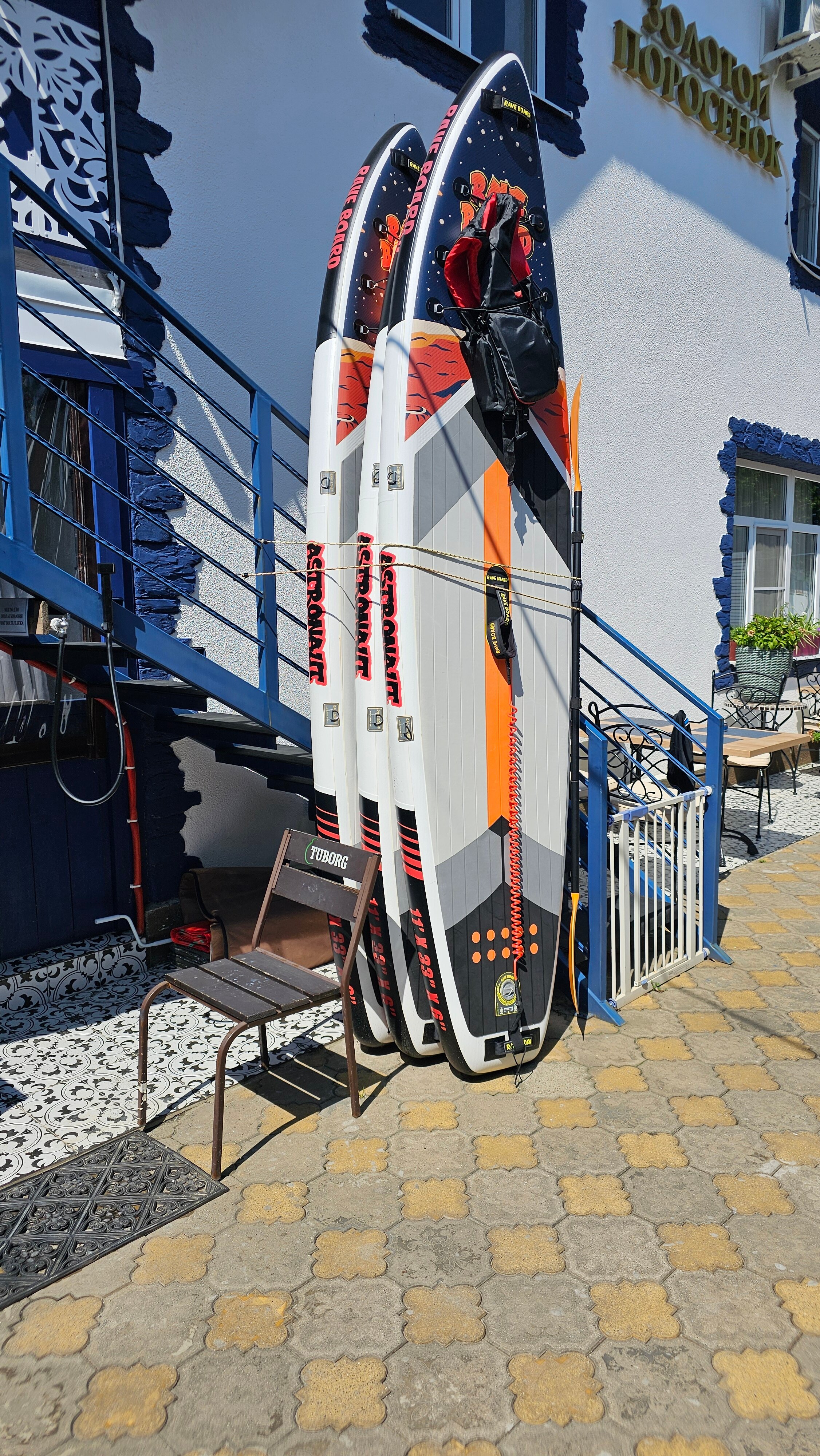 Фото Золотой Поросенок