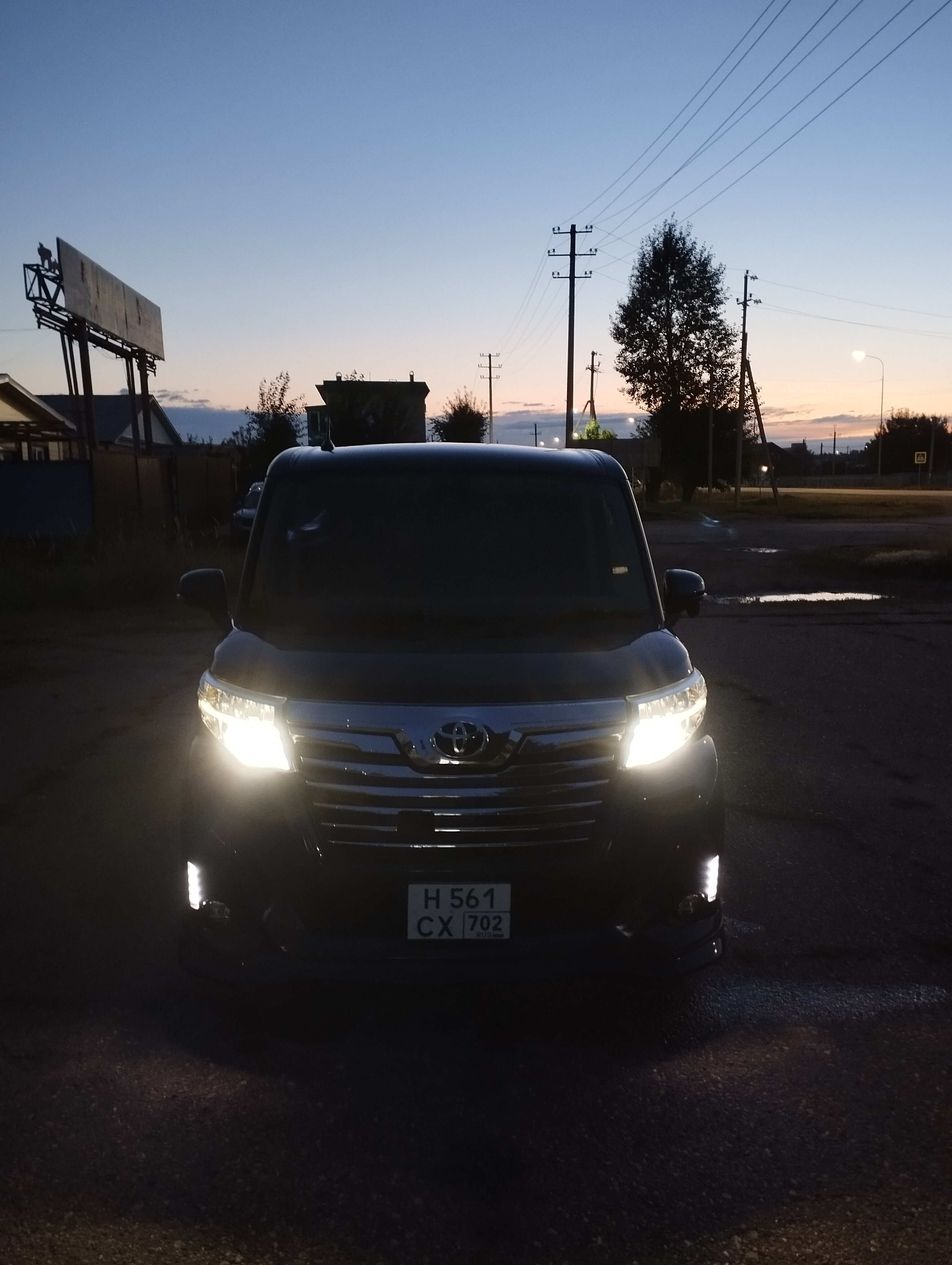 Фото Дельфин