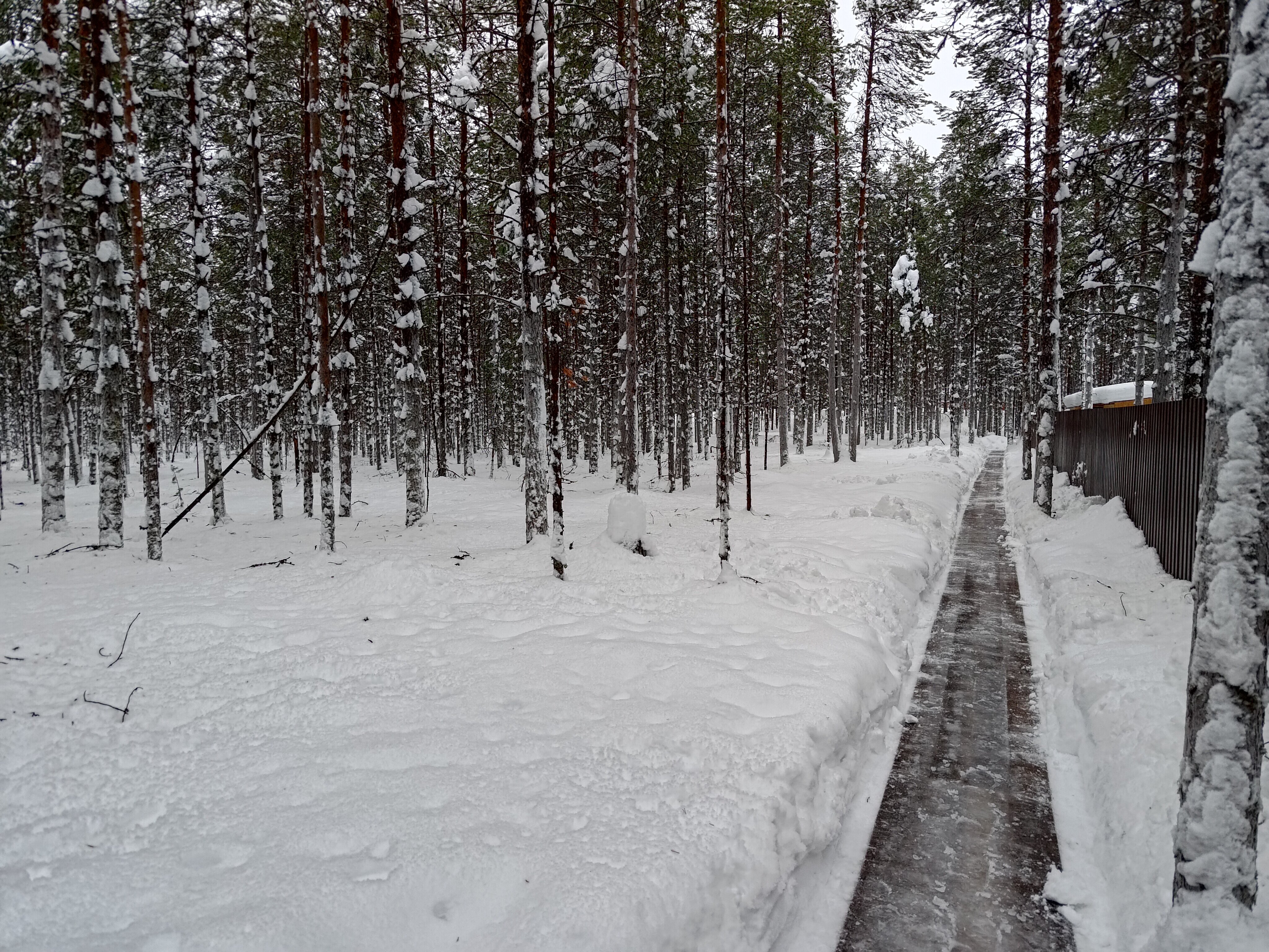 Фото Polarhome51