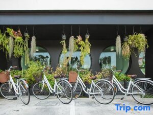 Гостиница Blu Monkey Hub and Hotel Phuket