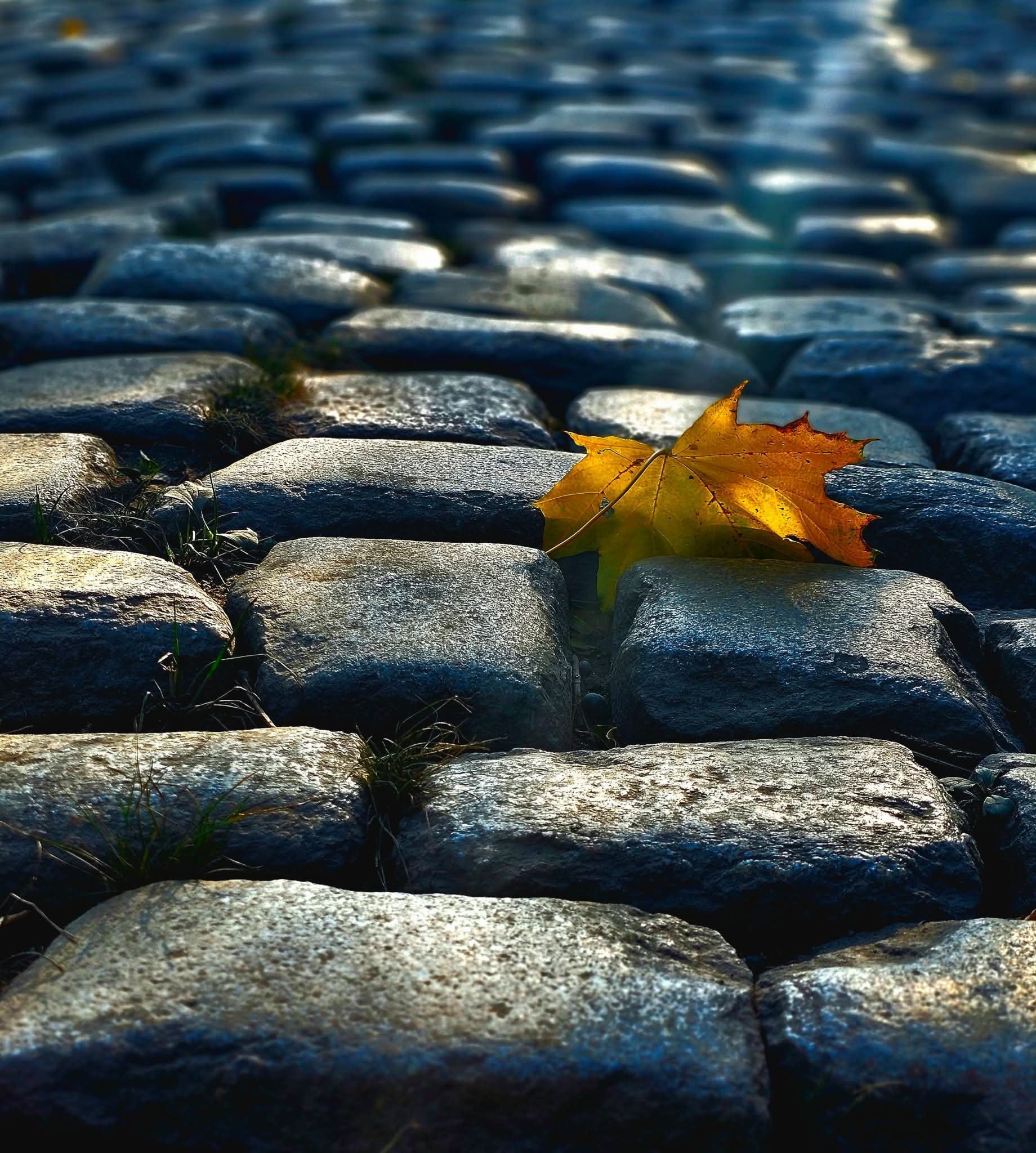 Фото Azimut Отель Дербеневская Москва