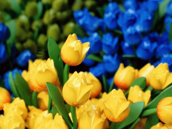 Фото Mercure Hotel Amsterdam Sloterdijk Station