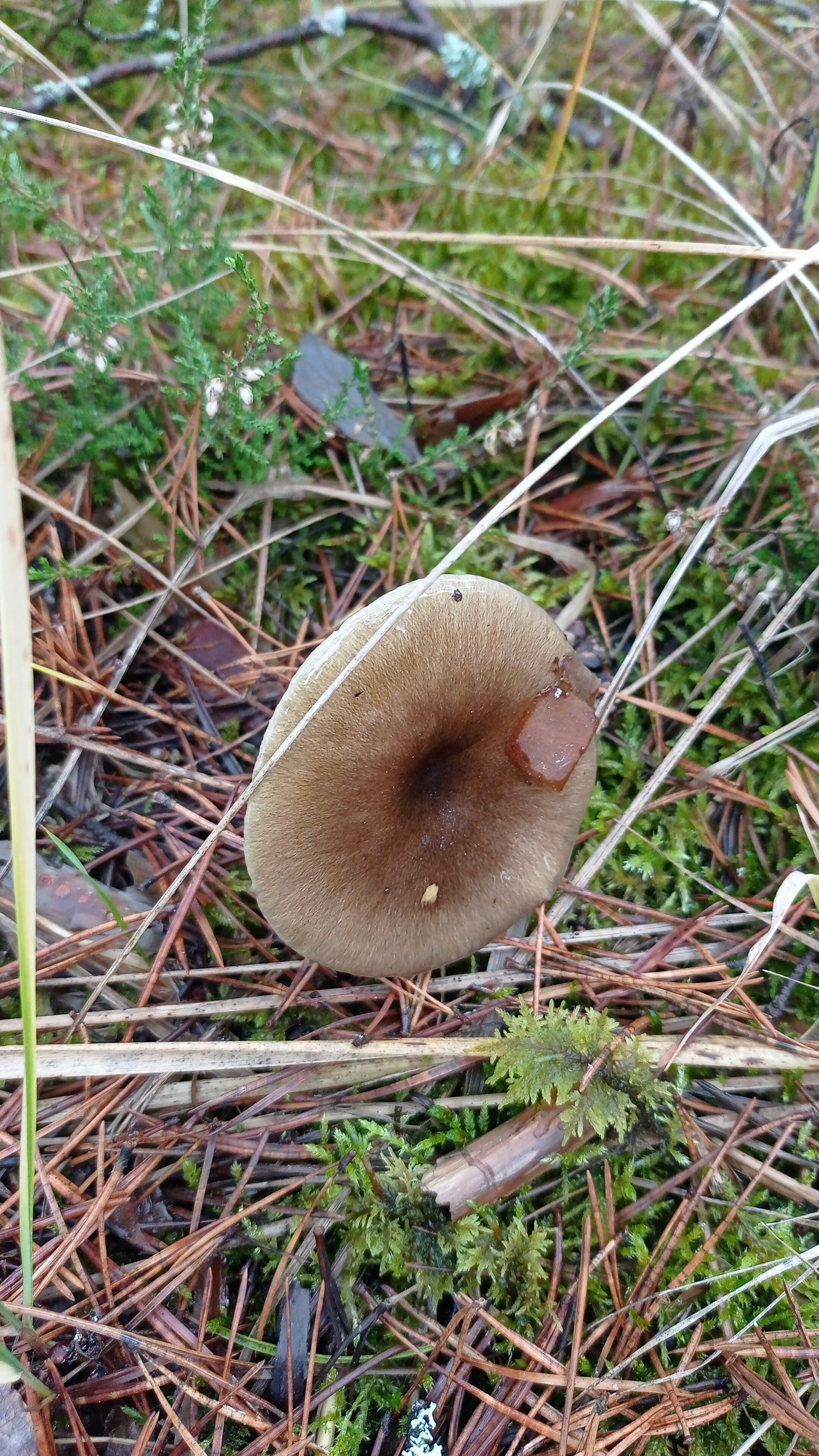 Фото Заповедные устья