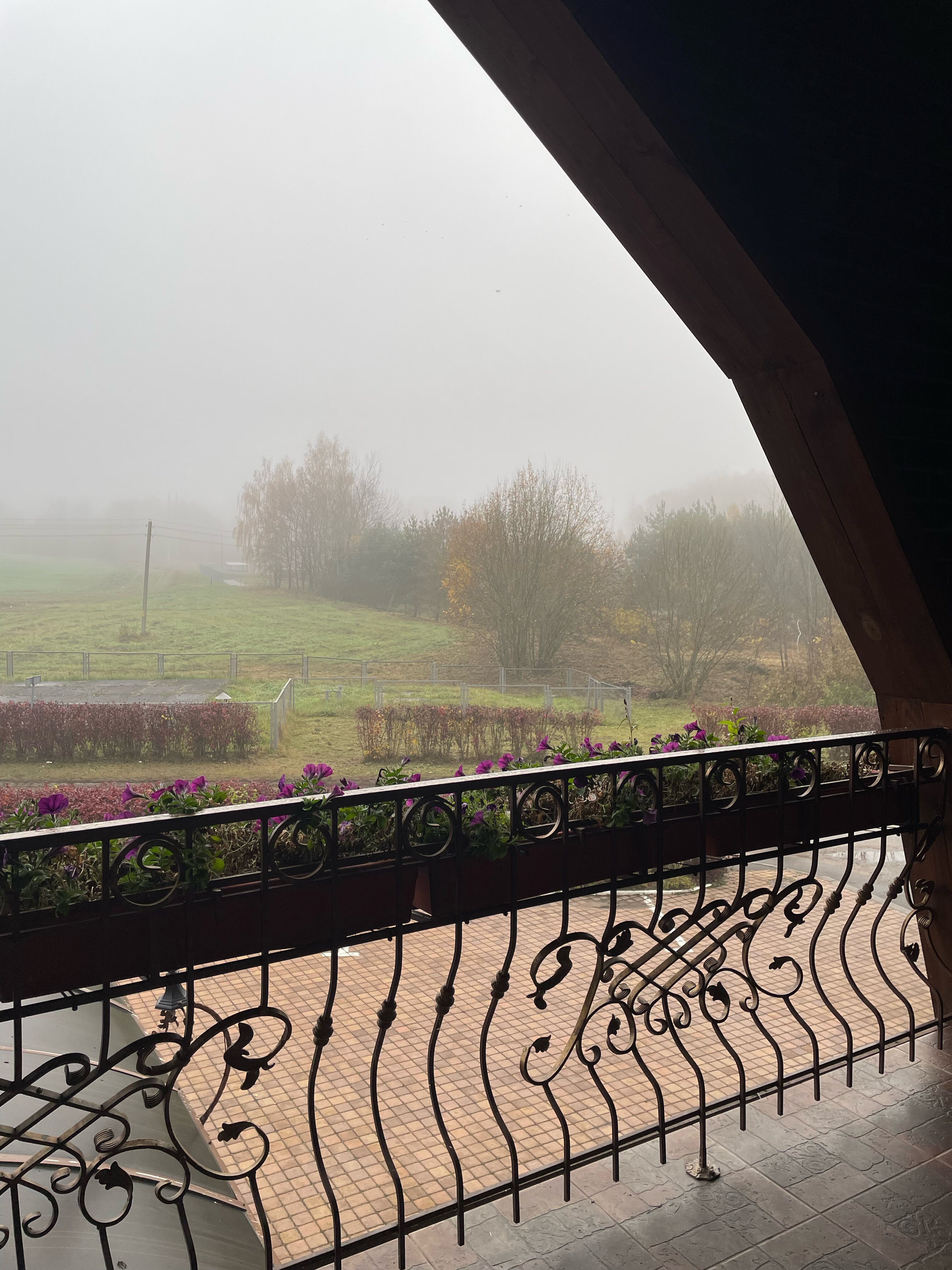 Фото Маёнтак Птичь