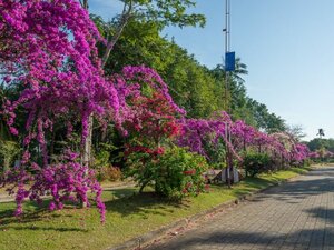 Гостиница Maritime Park & SPA Resort