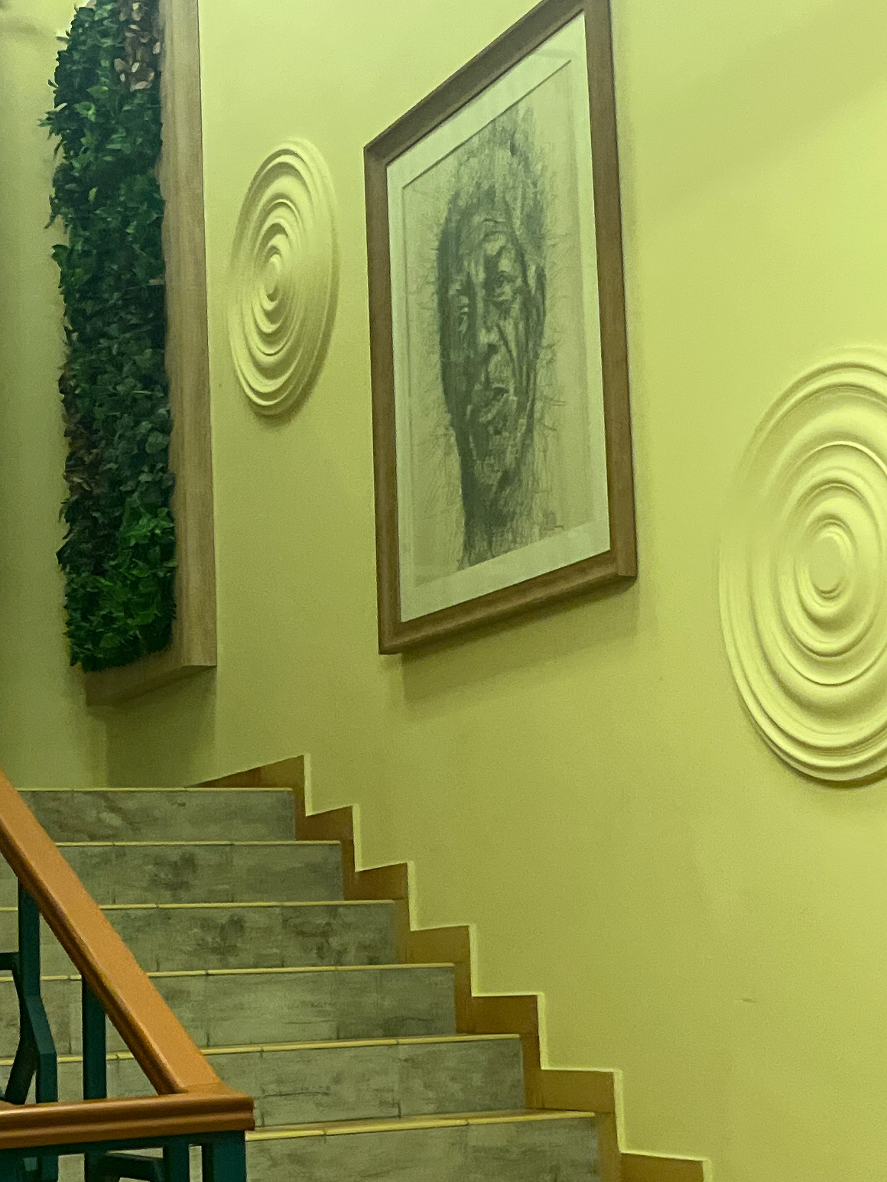 Фото Green Which