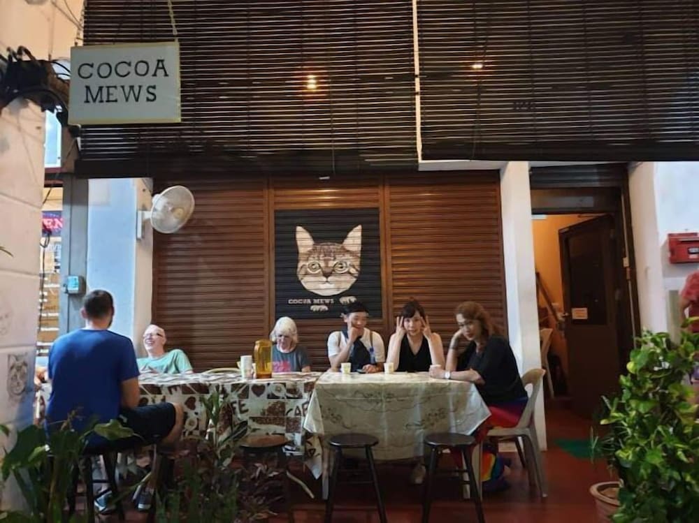 Фото Cocoa Mews Cafe & Homestay