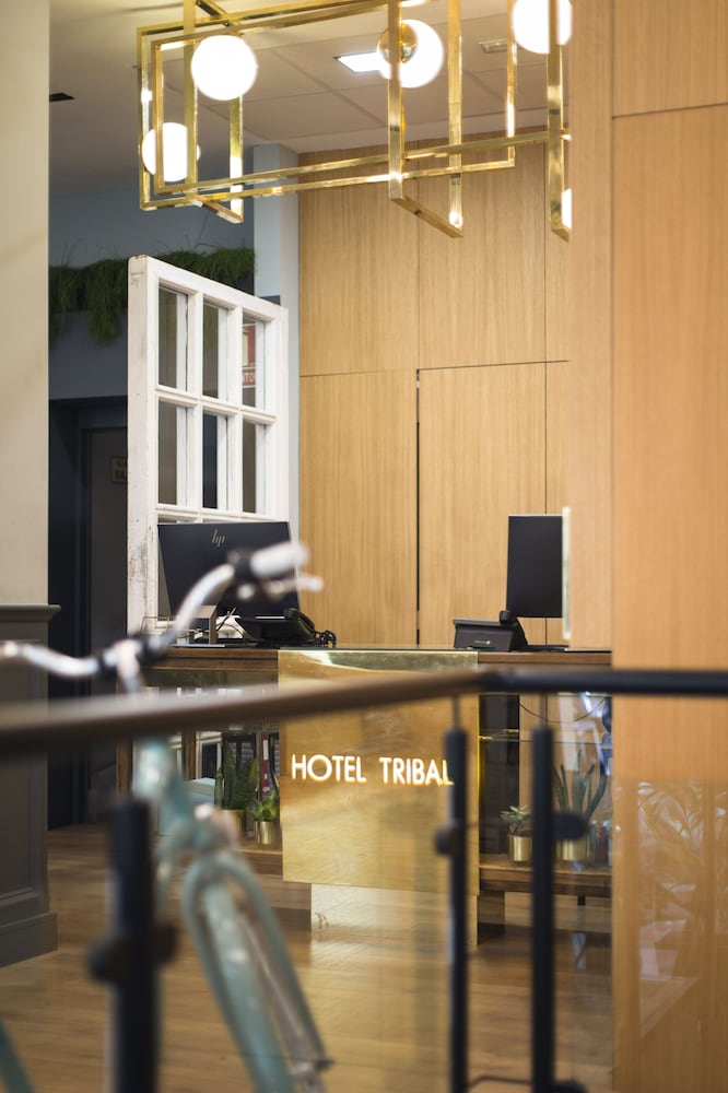 Фото Petit Palace Triball