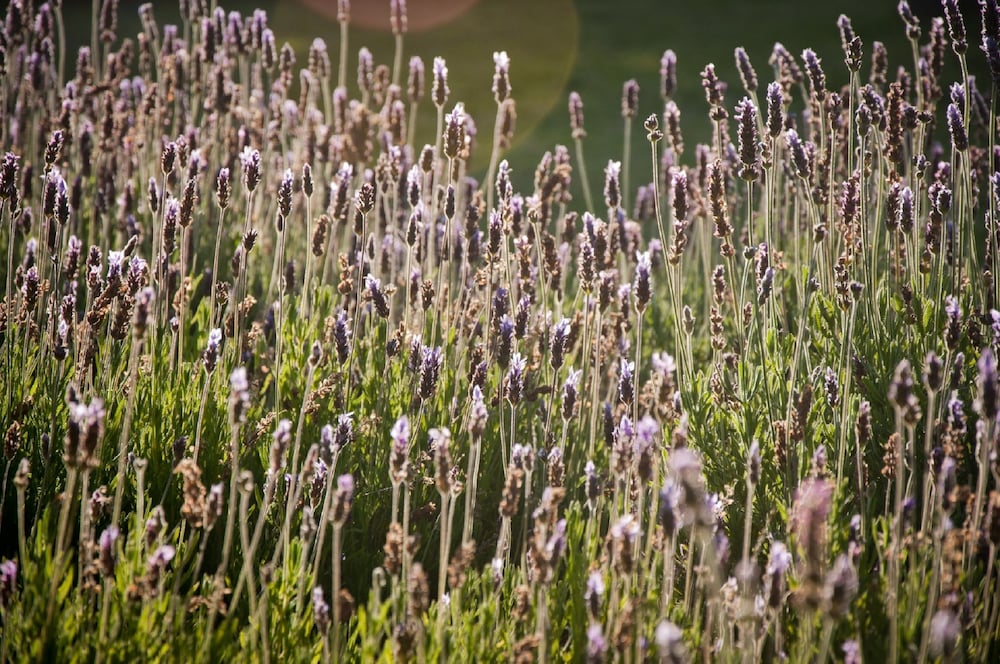 Фото At Winkfield House