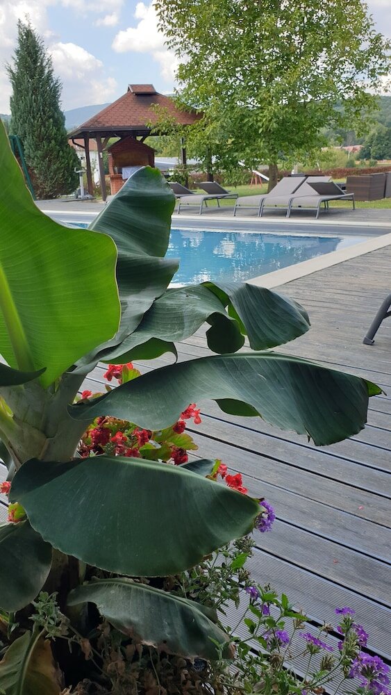 Фото House Tina - Bed and Breakfast