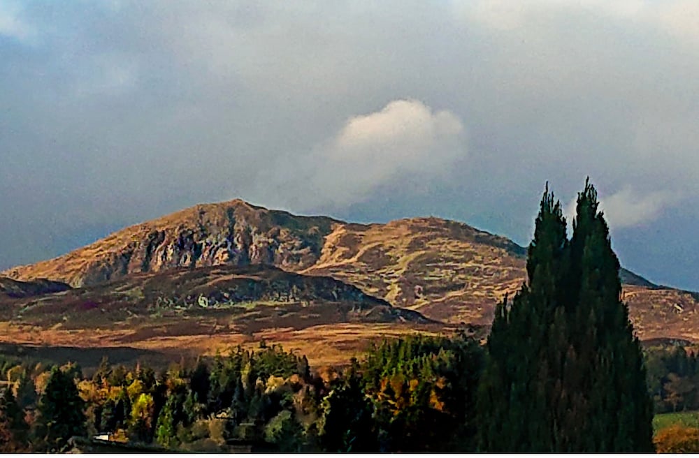 Фото Rosemount Hotel