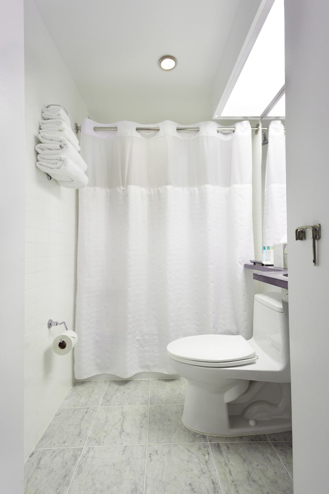 Фото The Shoreham Hotel