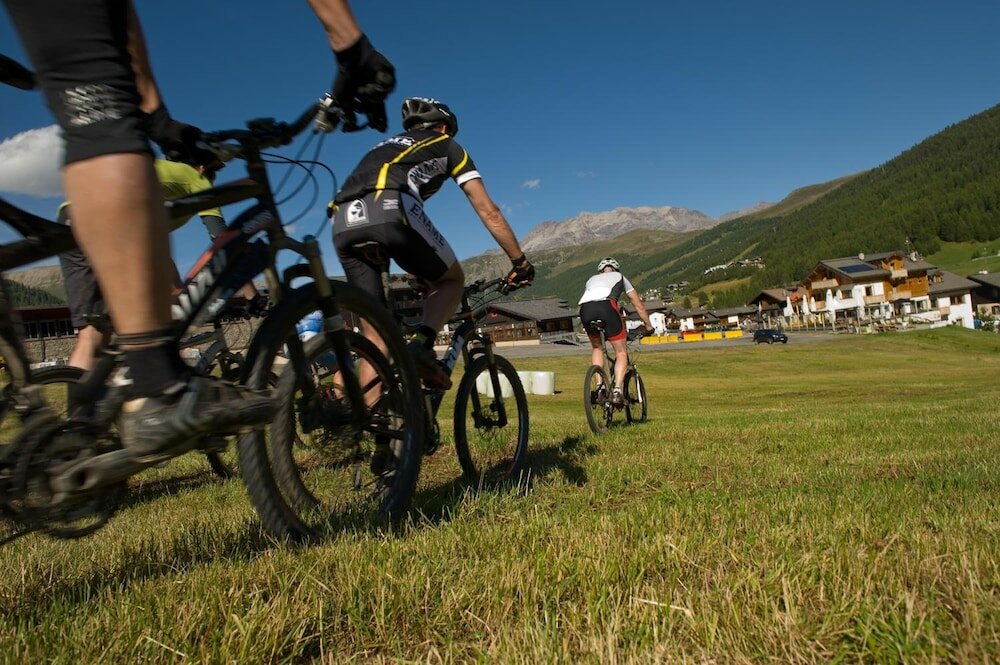 Фото Hotel Alegra