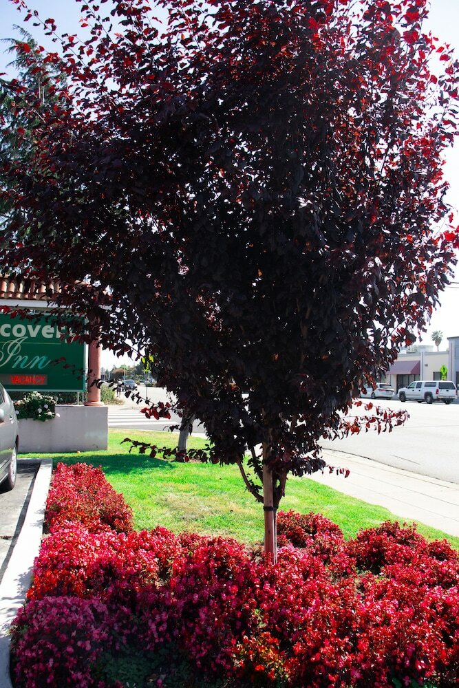 Фото Discovery Inn