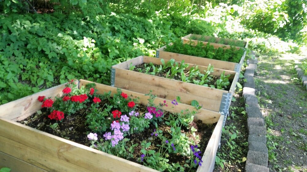 Фото Hotel Scheelsminde