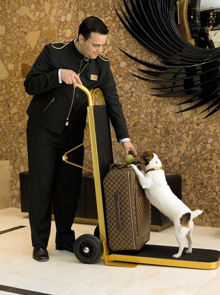 Фото Altis Avenida Hotel