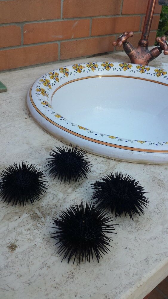 Фото Perla del Sole