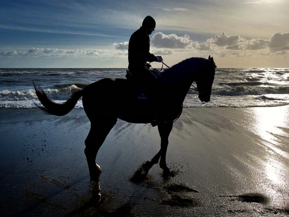 Фото Il Fogliano Hotel
