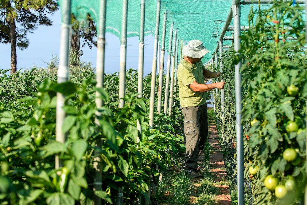 Фото Alexandra Elegance Bridging Generations