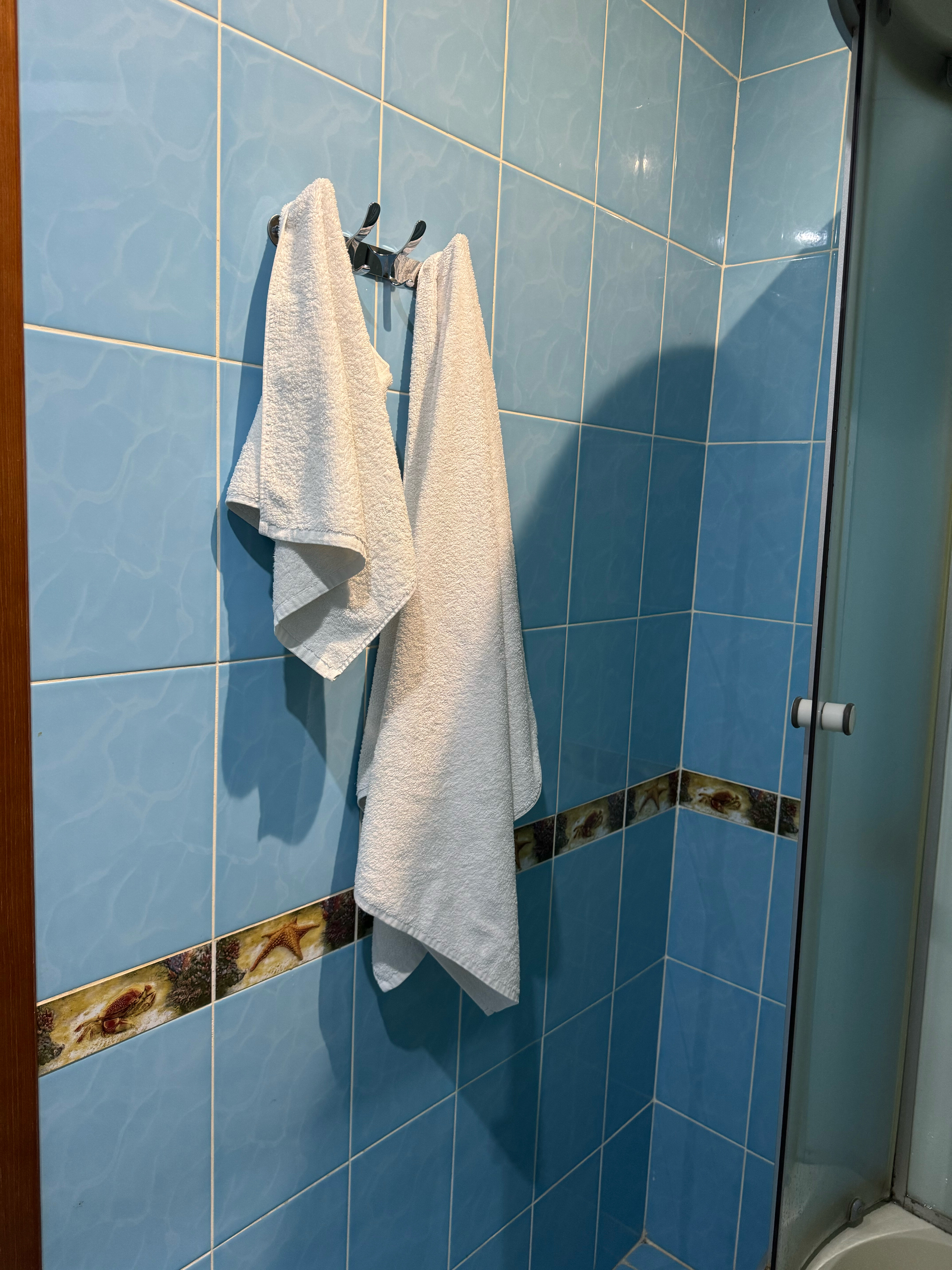 Фото Изумруд