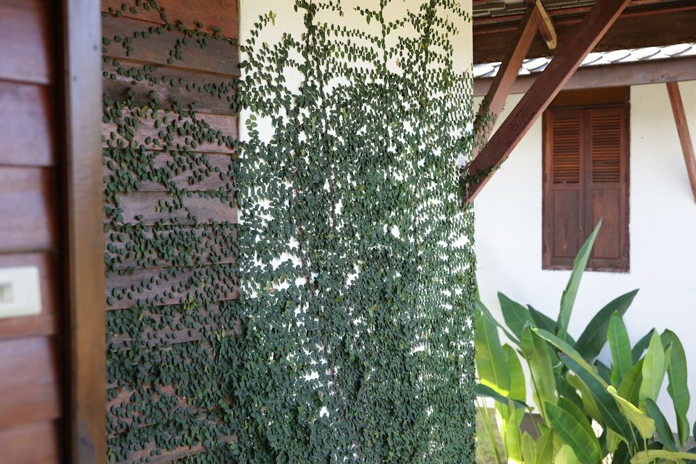 Фото Pai River Villa